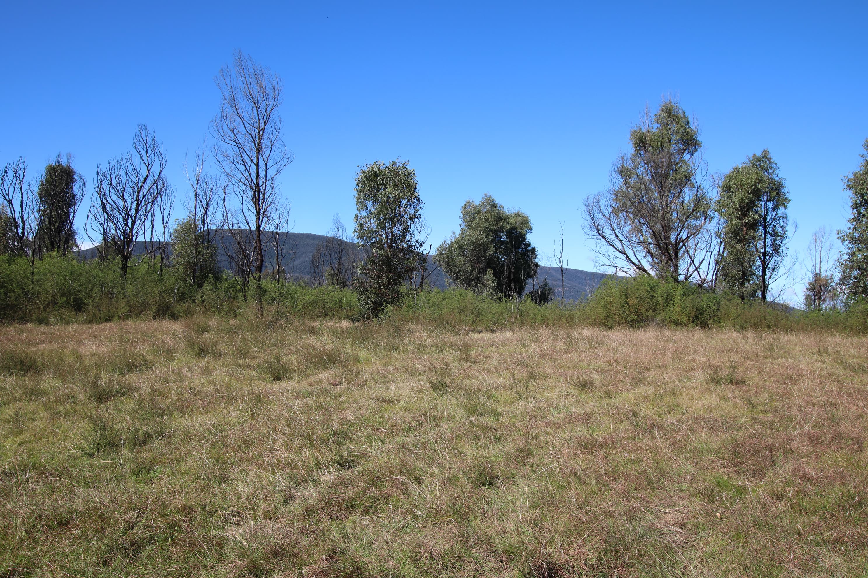 5177 Monaro Highway, Rockton, Rockton - Thumbnail 3