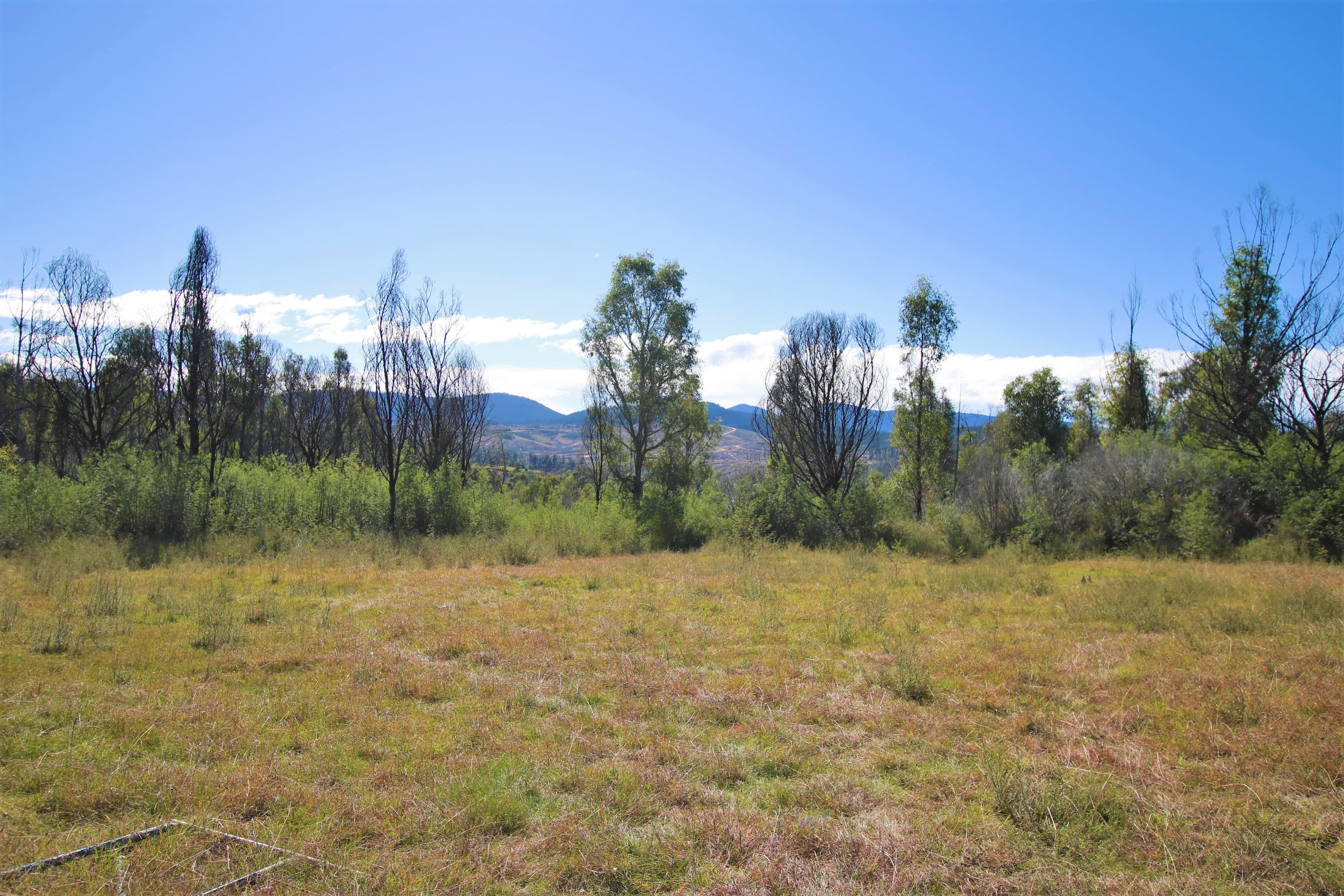 5177 Monaro Highway, Rockton, Rockton - Thumbnail 4