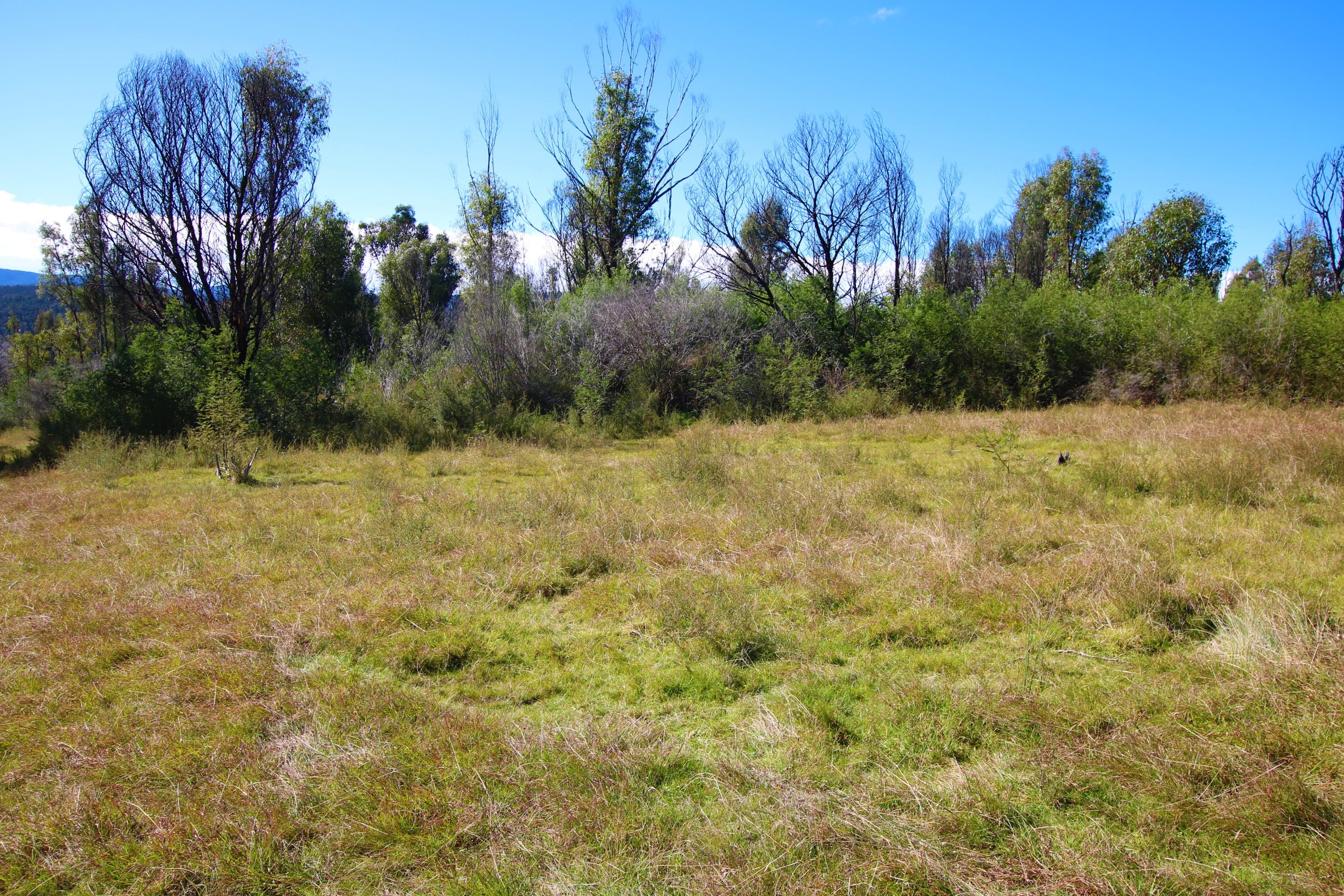 5177 Monaro Highway, Rockton, Rockton - Thumbnail 5