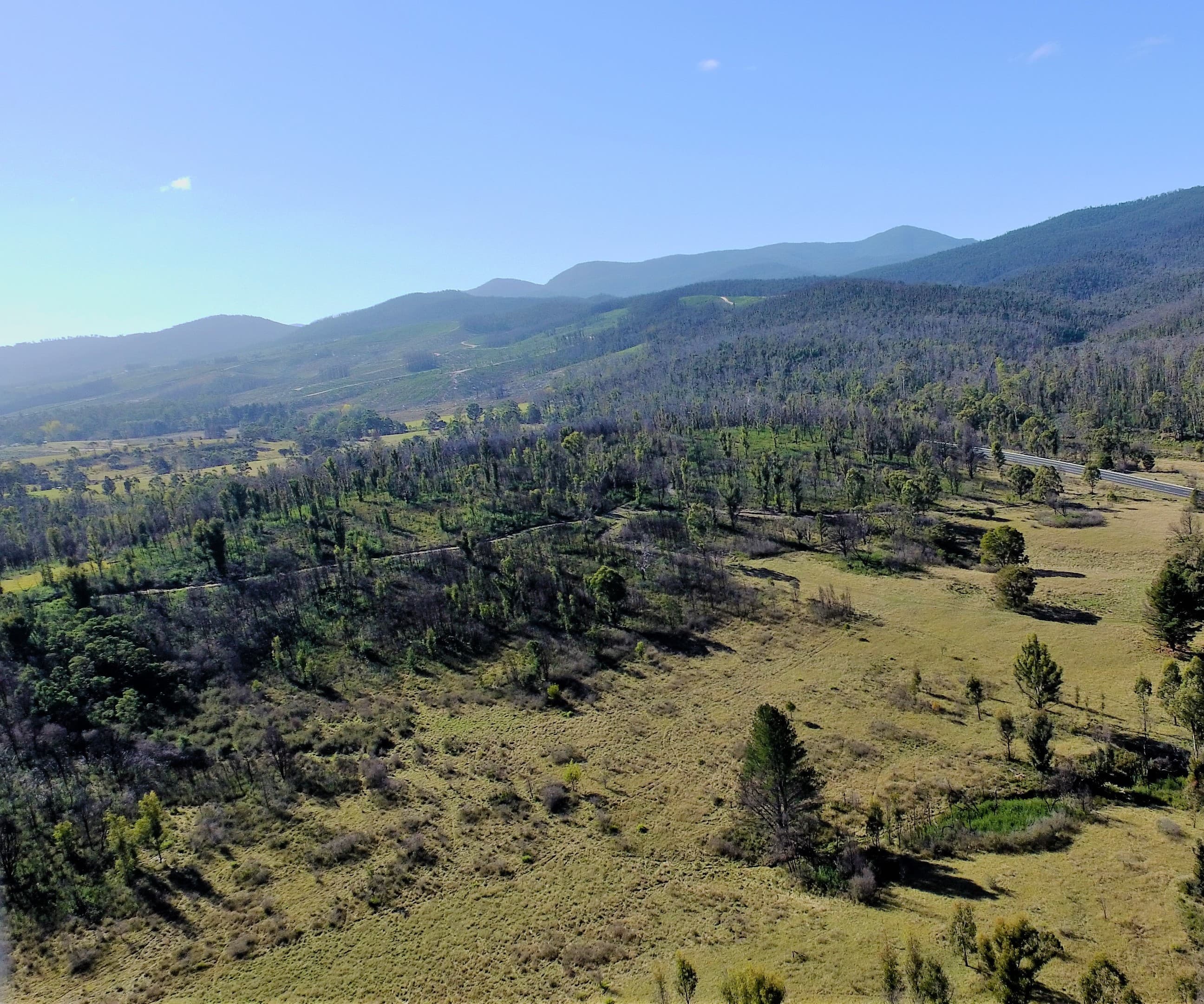5177 Monaro Highway, Rockton, Rockton - Thumbnail 6