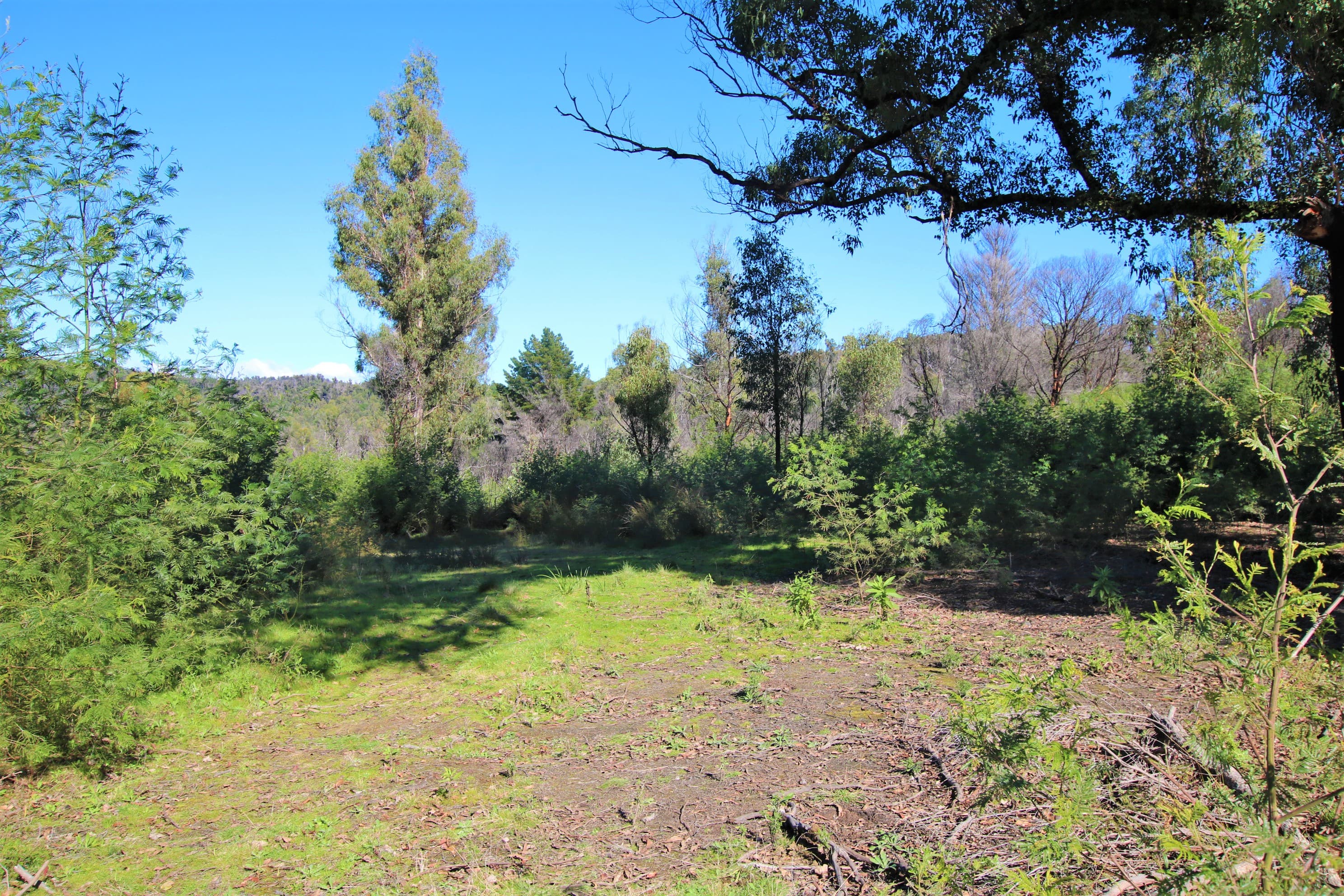5177 Monaro Highway, Rockton, Rockton - Thumbnail 7