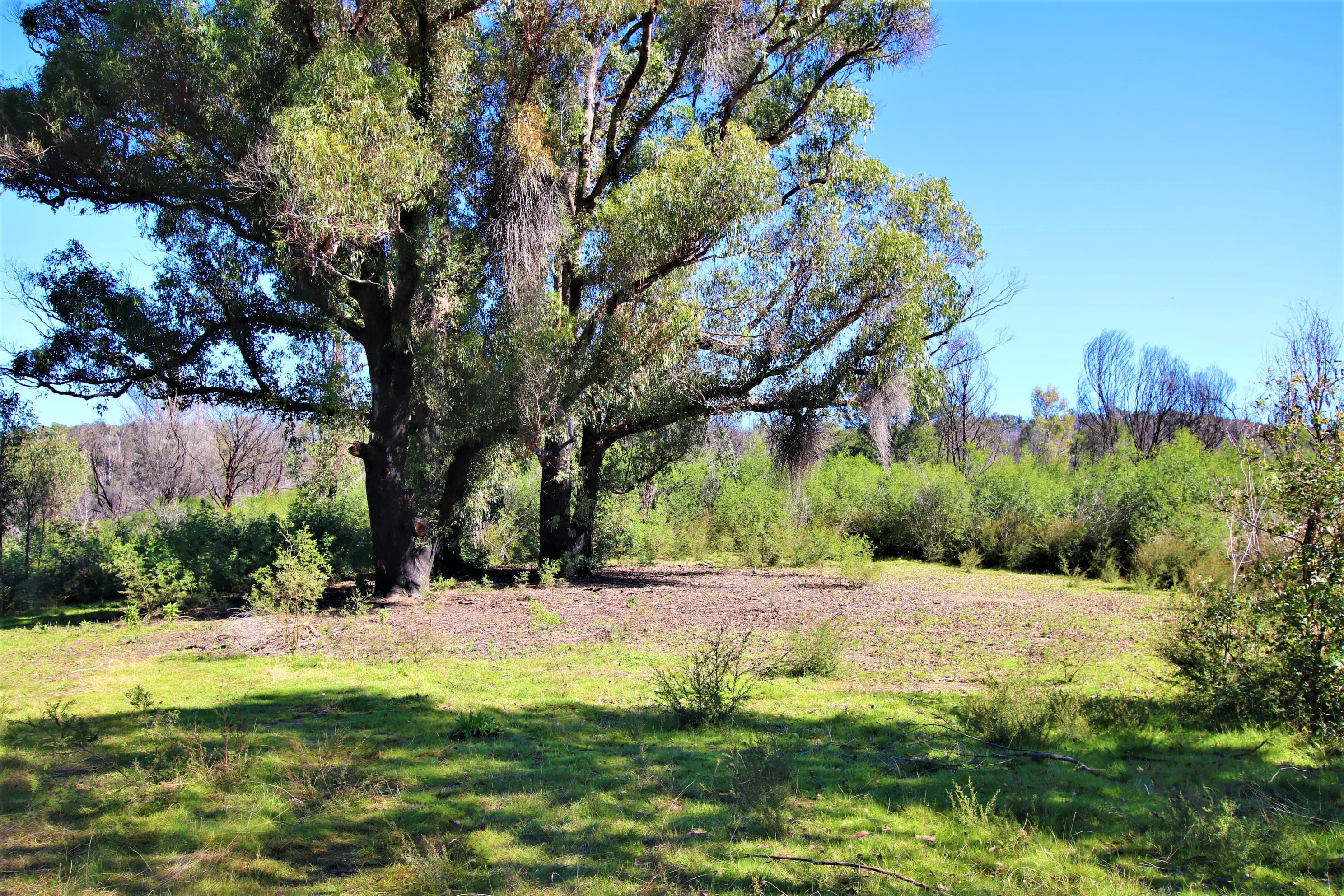 5177 Monaro Highway, Rockton, Rockton - Thumbnail 8