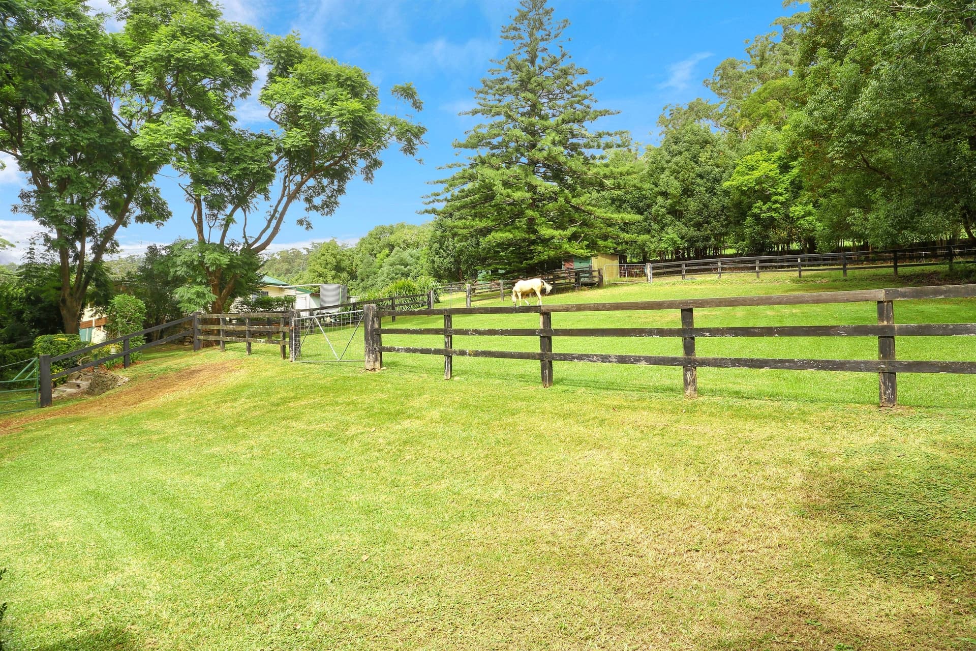 19 Peach Orchard Road, Ourimbah, Ourimbah - Thumbnail 2