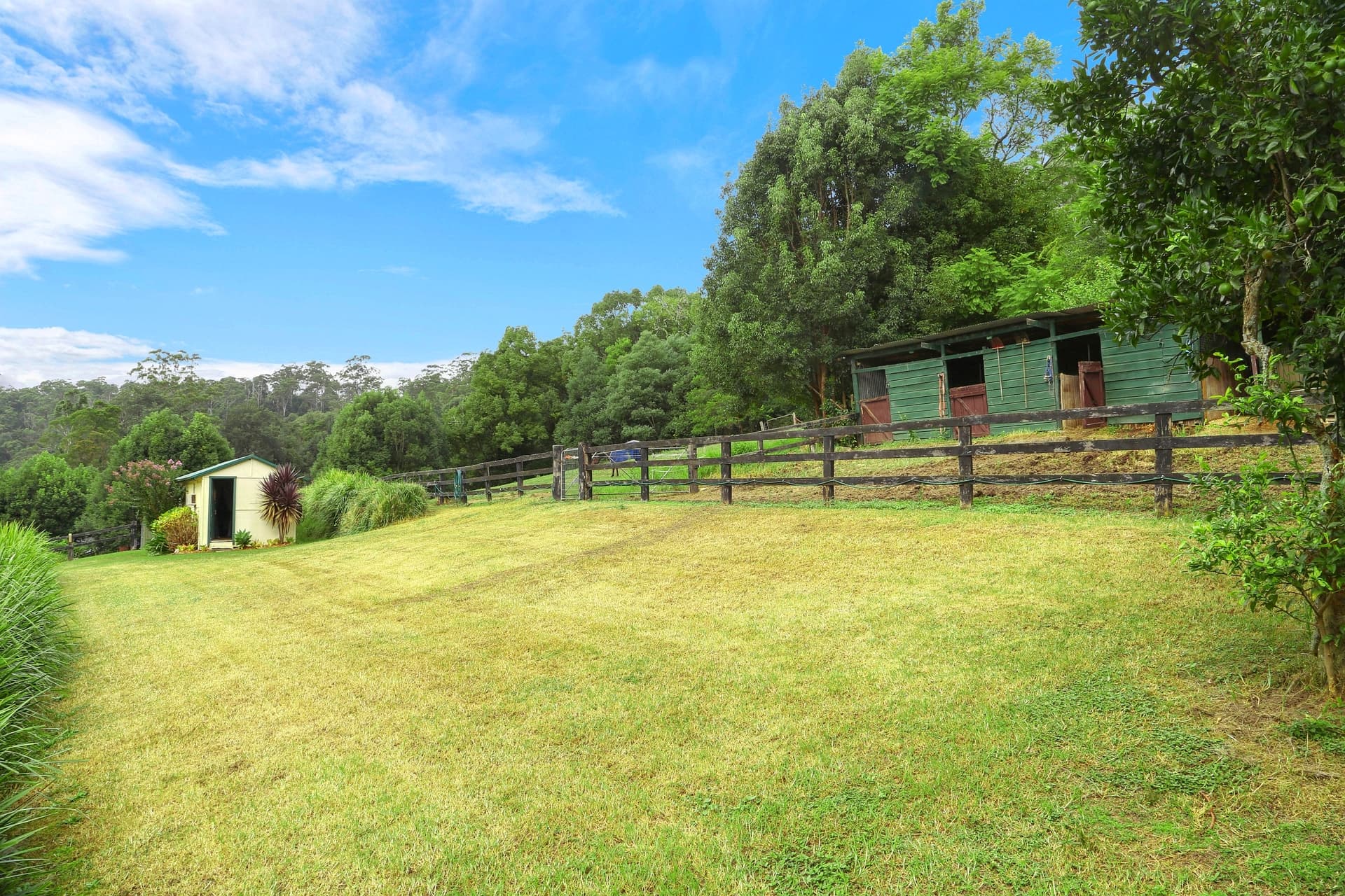 19 Peach Orchard Road, Ourimbah, Ourimbah - Thumbnail 3