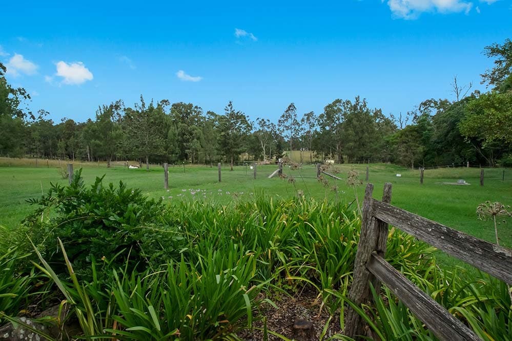 3 Dog Trap Creek Road, East Gresford, East Gresford - Thumbnail 5