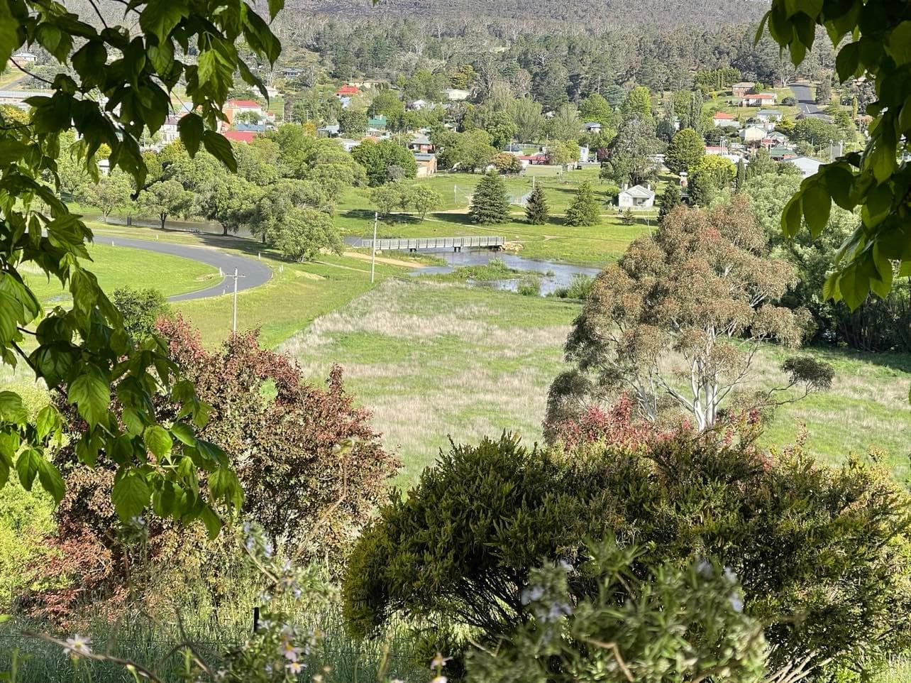 2-22 Mort Street, Bombala, Bombala - Thumbnail 5