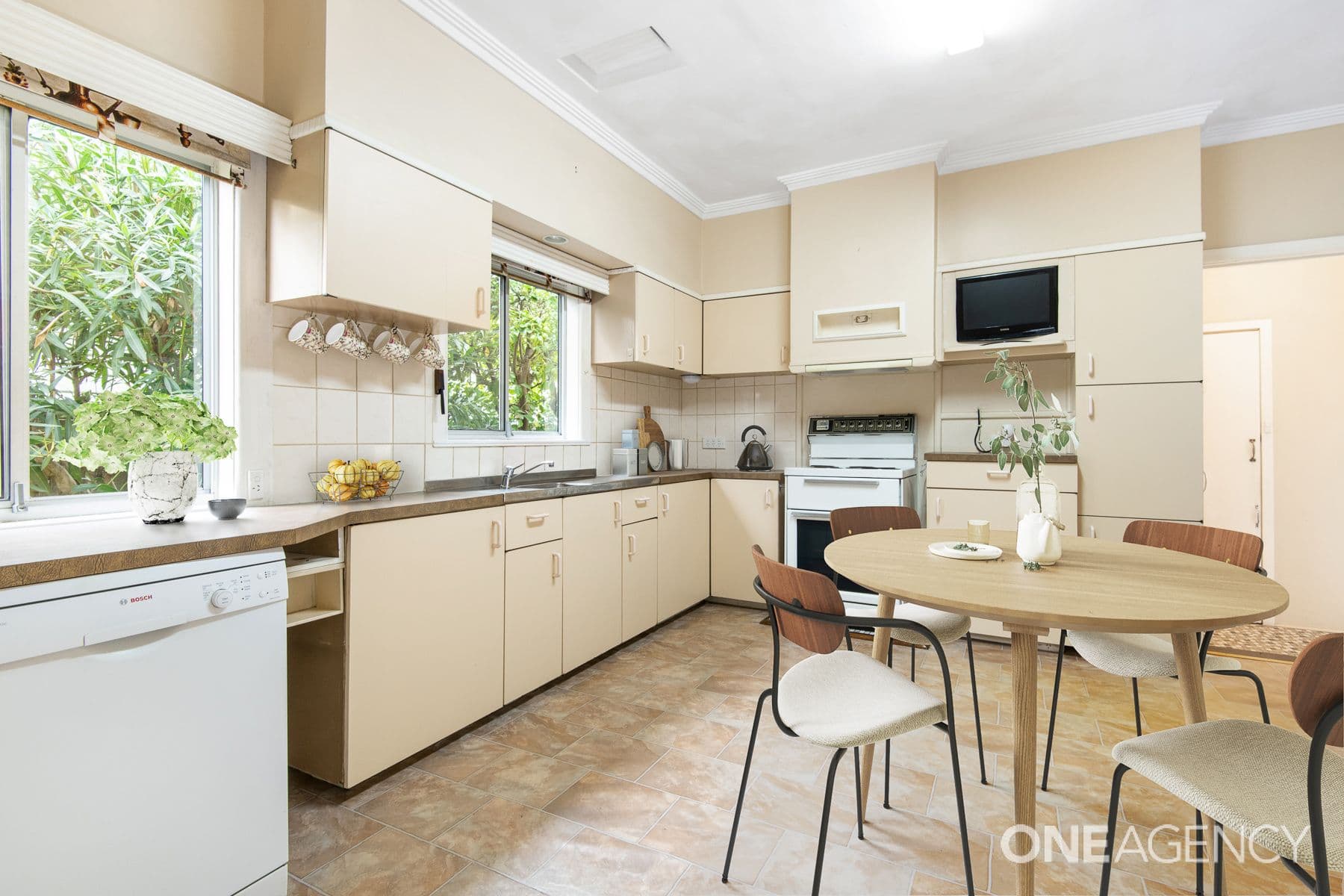 13 Vines Road, Hamlyn Heights, Hamlyn Heights - Thumbnail 3