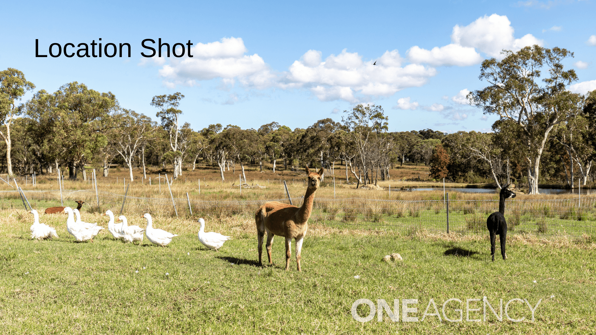 89 Btu Road, Nowra Hill, Nowra Hill - Thumbnail 3