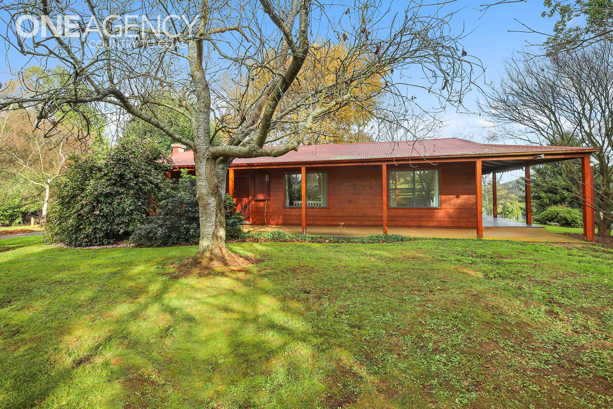 85 Paynter Road, Neerim Junction, Neerim Junction - Thumbnail 4