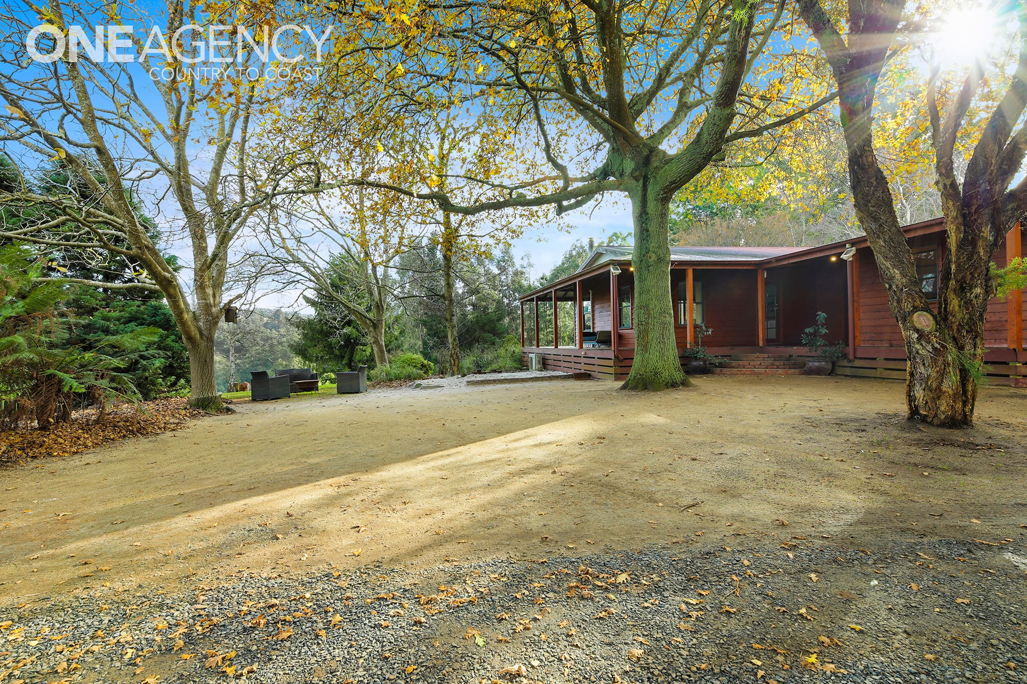 85 Paynter Road, Neerim Junction, Neerim Junction - Thumbnail 2