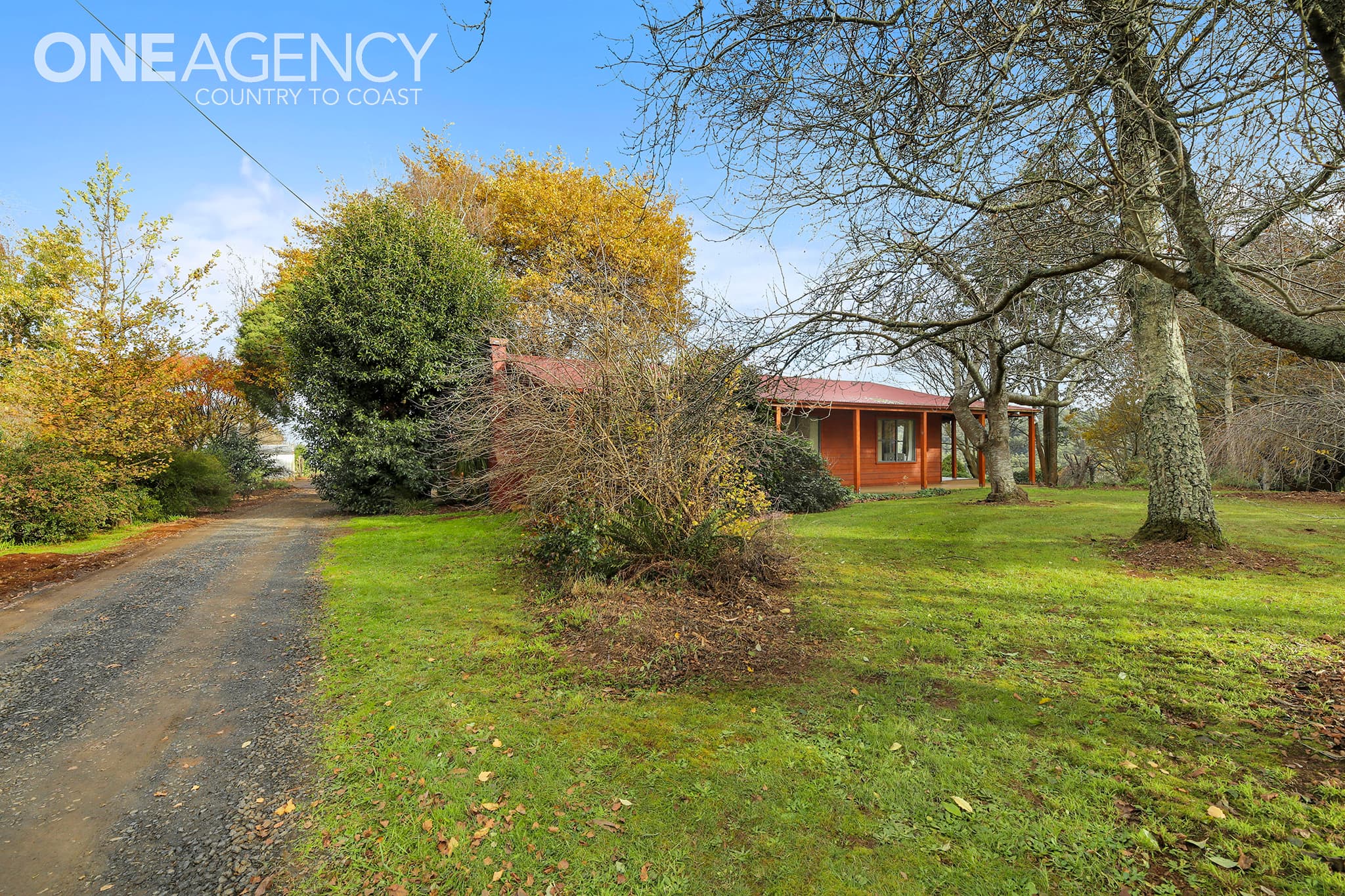 85 Paynter Road, Neerim Junction, Neerim Junction - Thumbnail 3