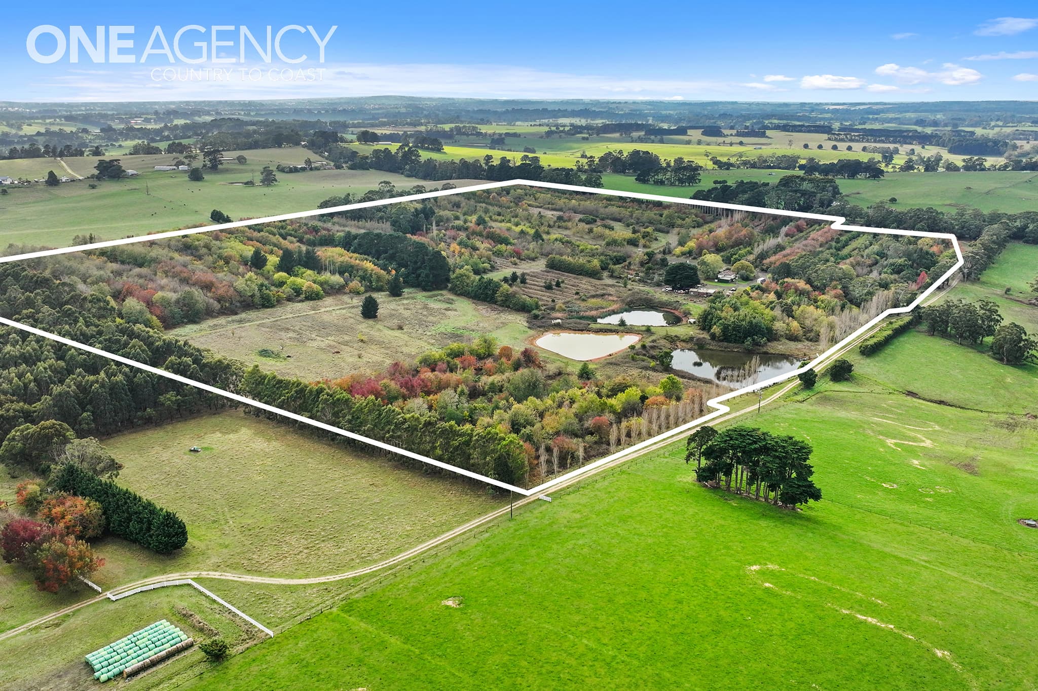 2505 Westernport Road, Ripplebrook, Ripplebrook - Thumbnail 4