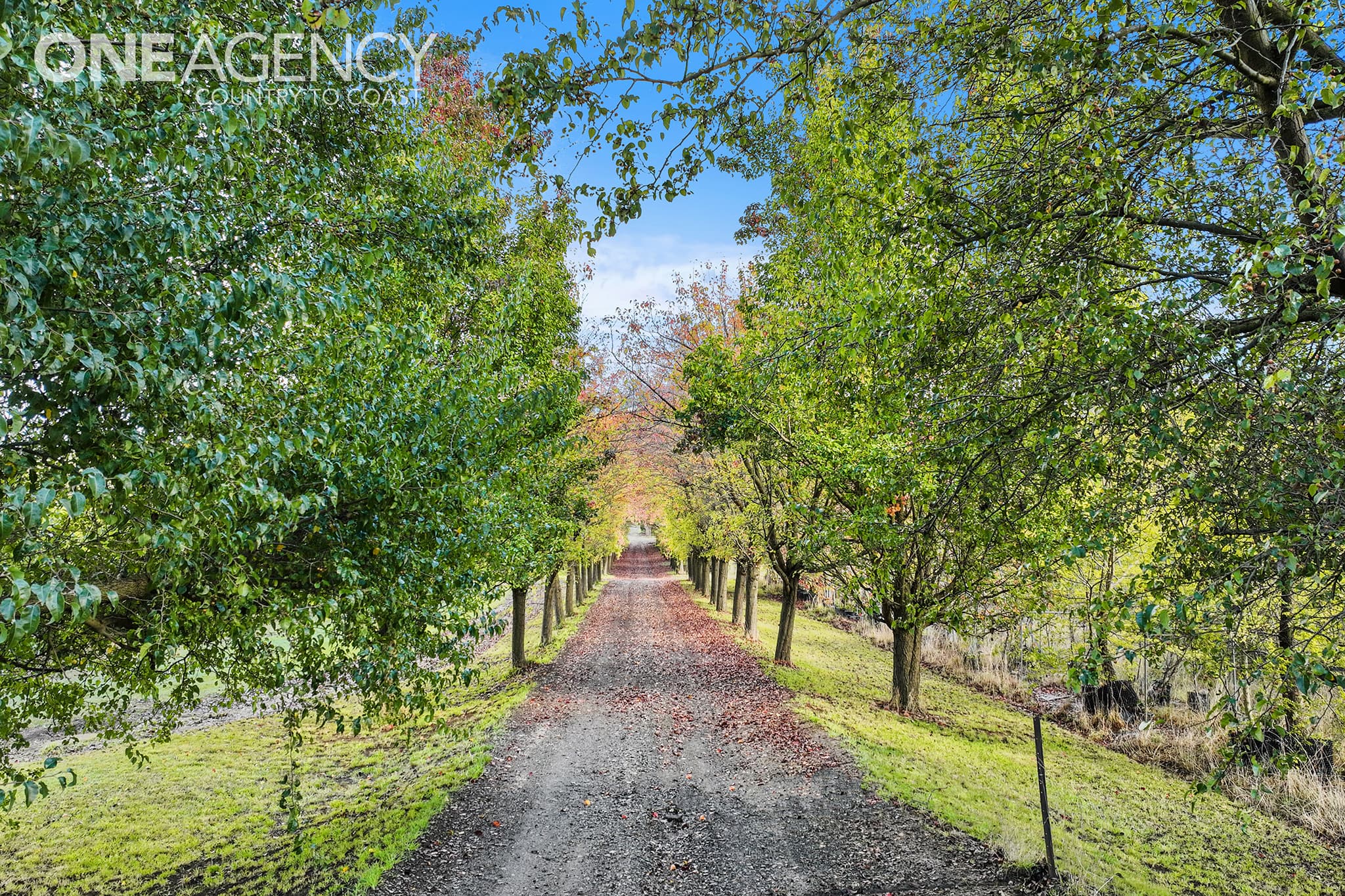 2505 Westernport Road, Ripplebrook, Ripplebrook - Thumbnail 2