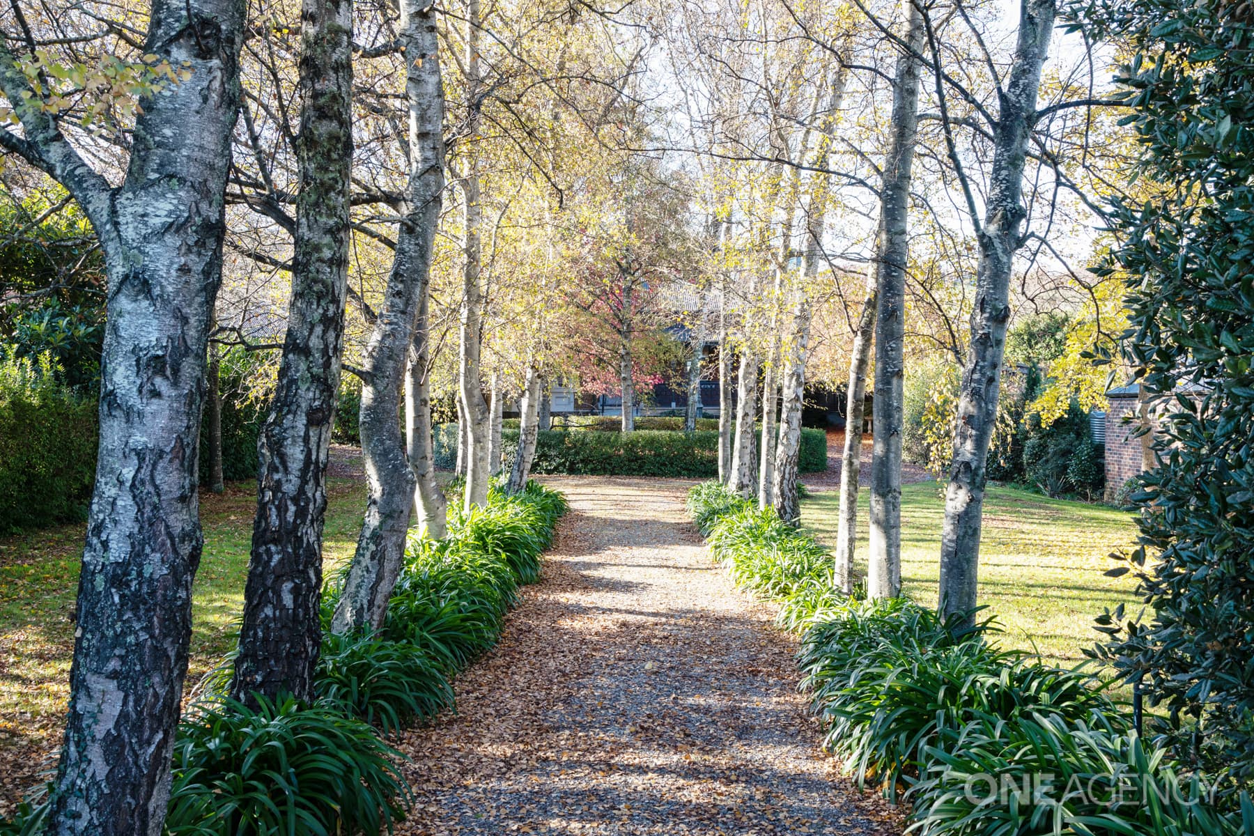 41 West Barrack Street, Deloraine, Deloraine - Thumbnail 2