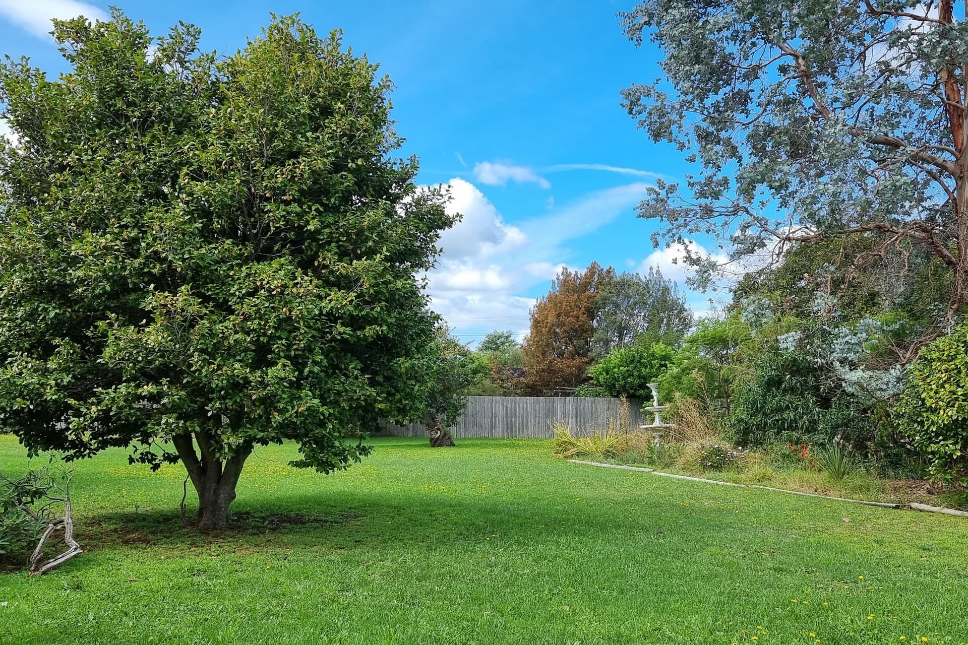 79 Drake Street, Devonport, Devonport - Thumbnail 2