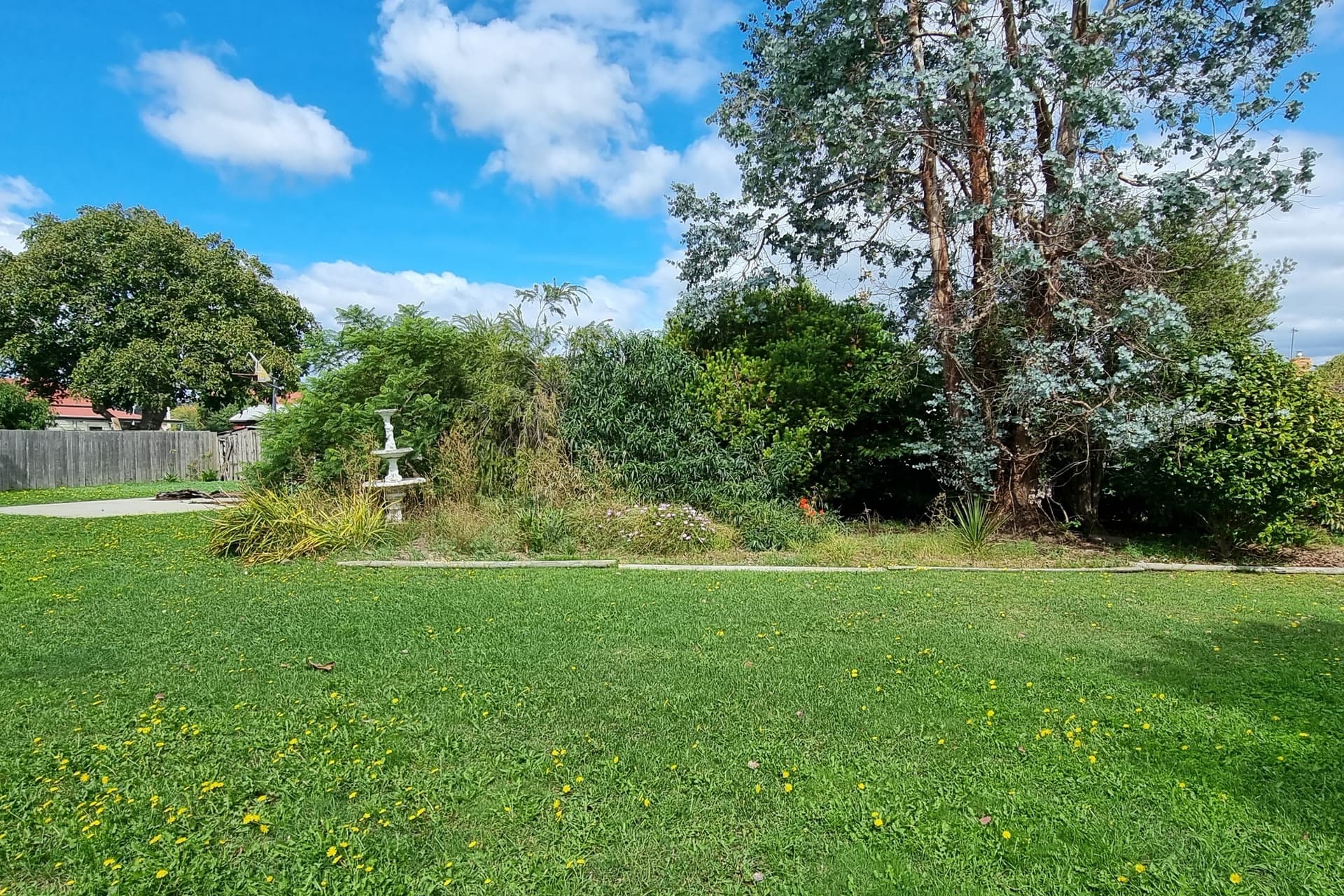 79 Drake Street, Devonport, Devonport - Thumbnail 4