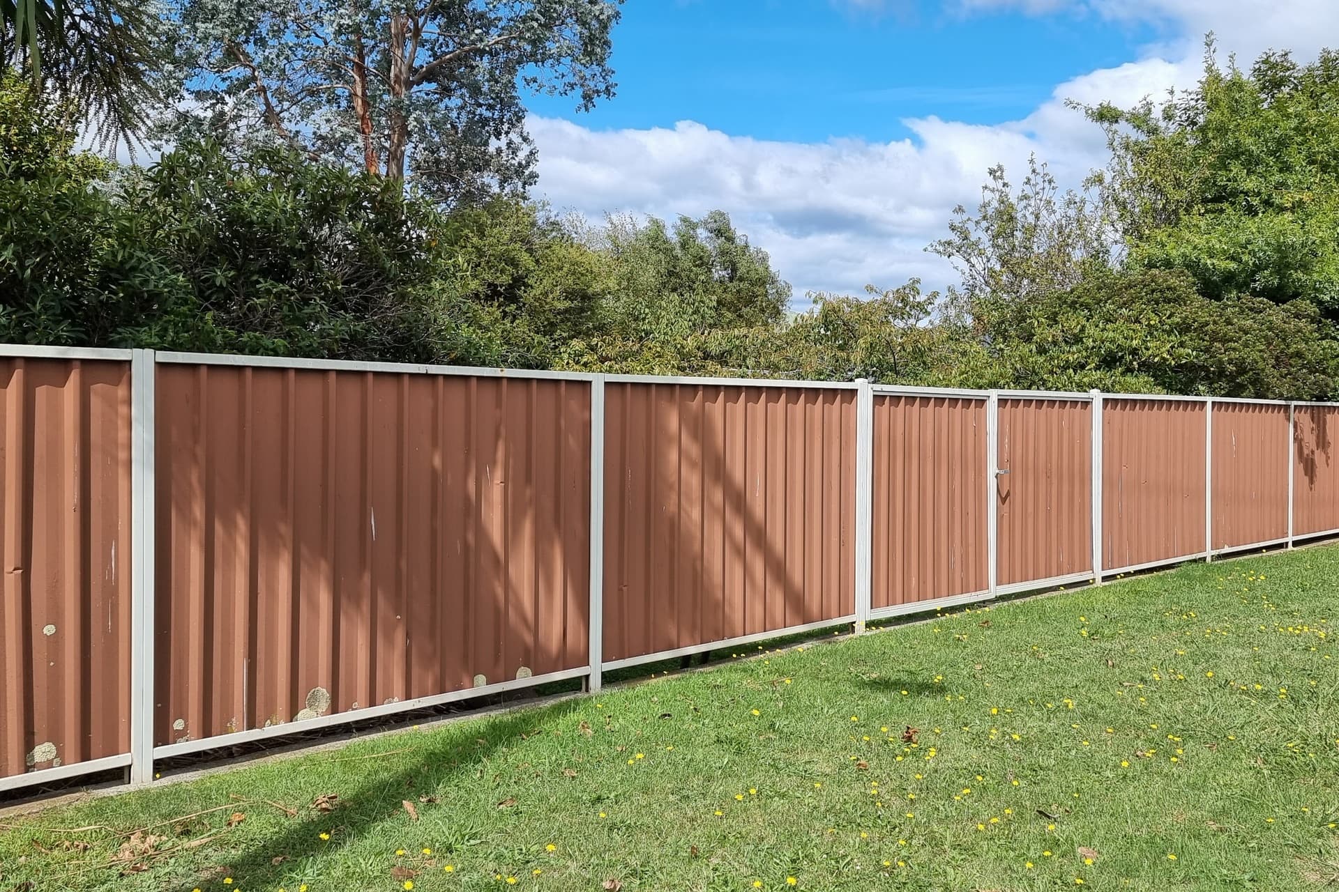 79 Drake Street, Devonport, Devonport - Thumbnail 6