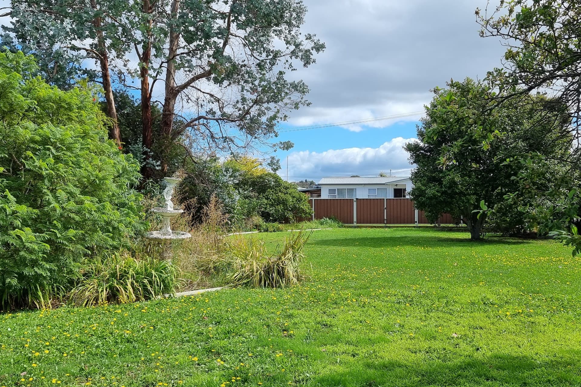 79 Drake Street, Devonport, Devonport - Image 1
