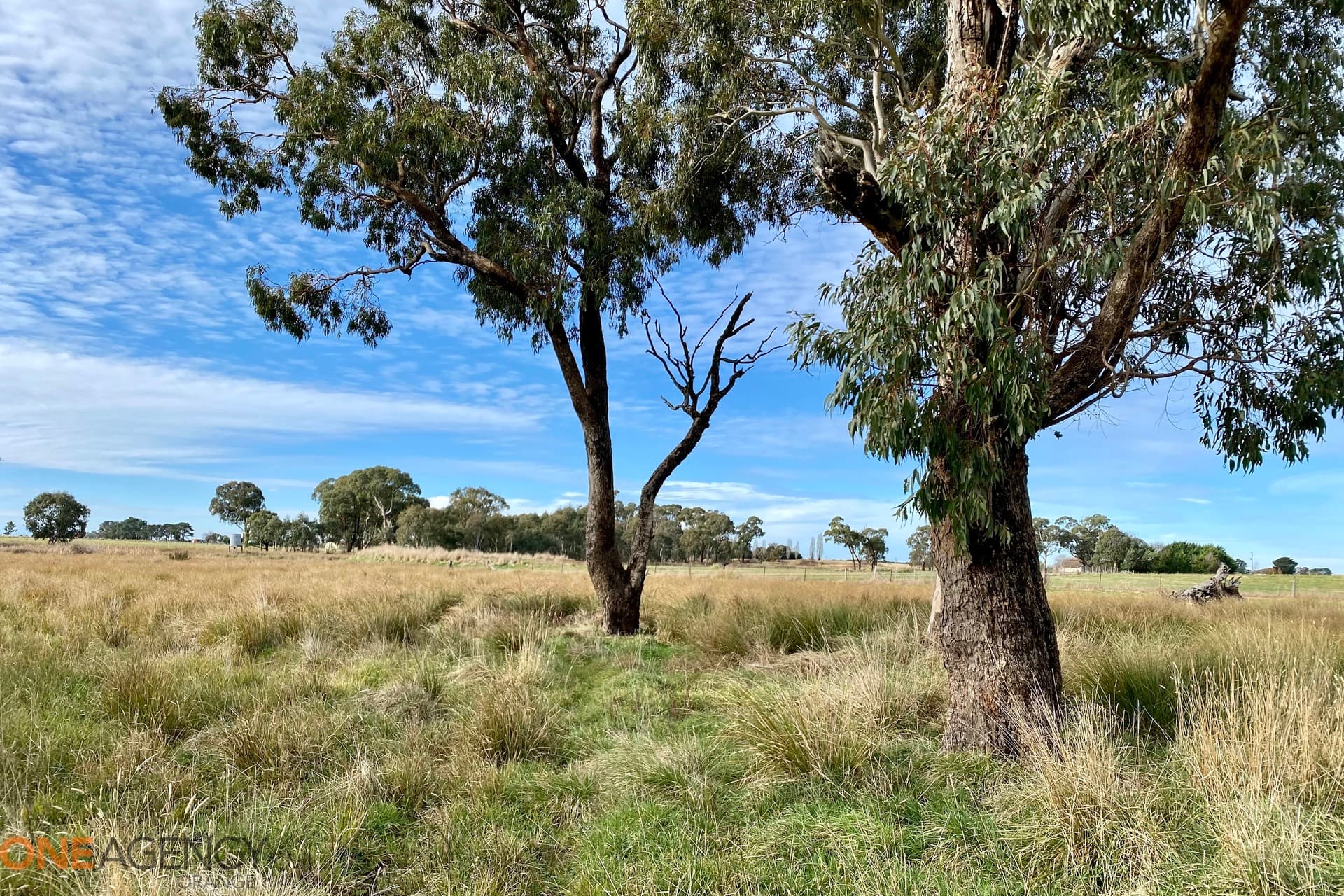 22 Springvale Lane, Millthorpe, Millthorpe - Thumbnail 5