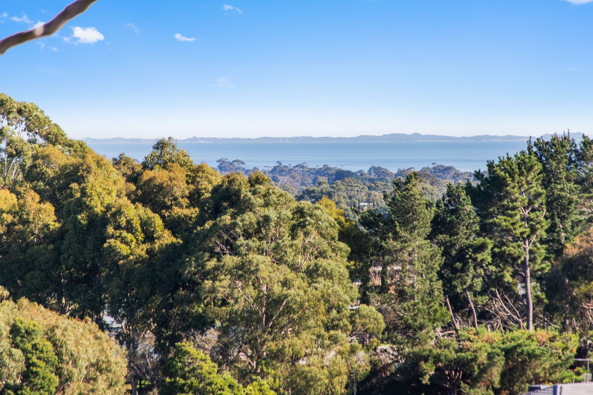 14 Maddison Avenue, Mount Eliza, Mount Eliza - Thumbnail 3