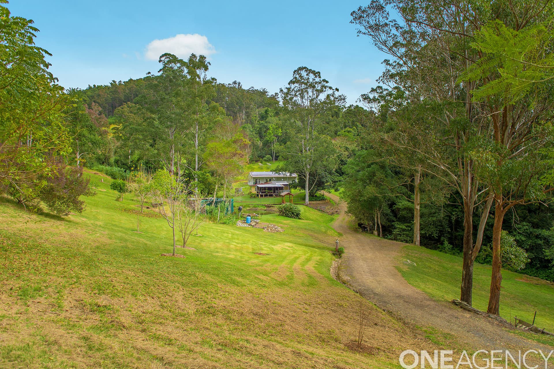 220 John Wallis Road, Pappinbarra, Pappinbarra - Thumbnail 5