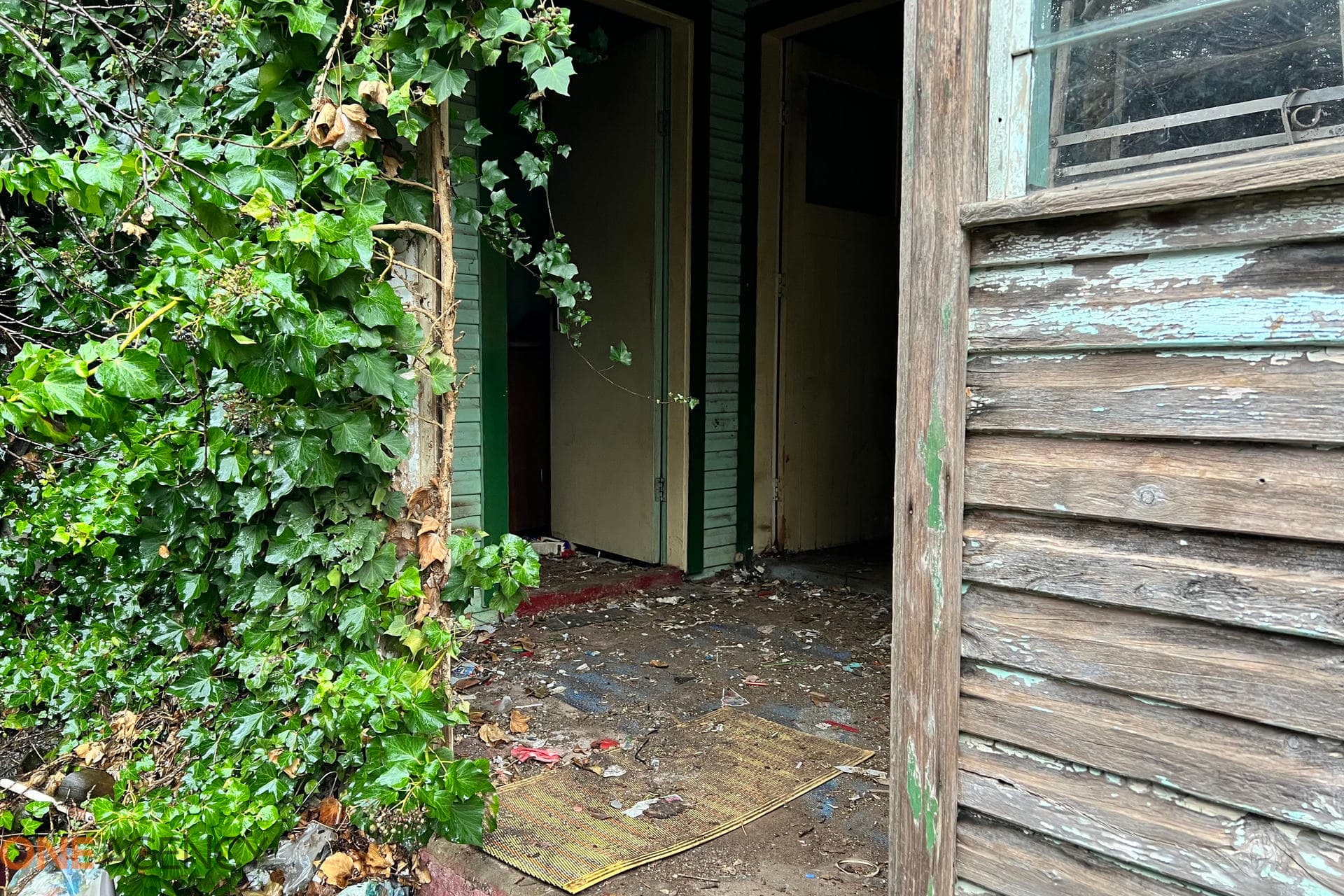 85 Gardiner Road, Orange, Orange - Thumbnail 5