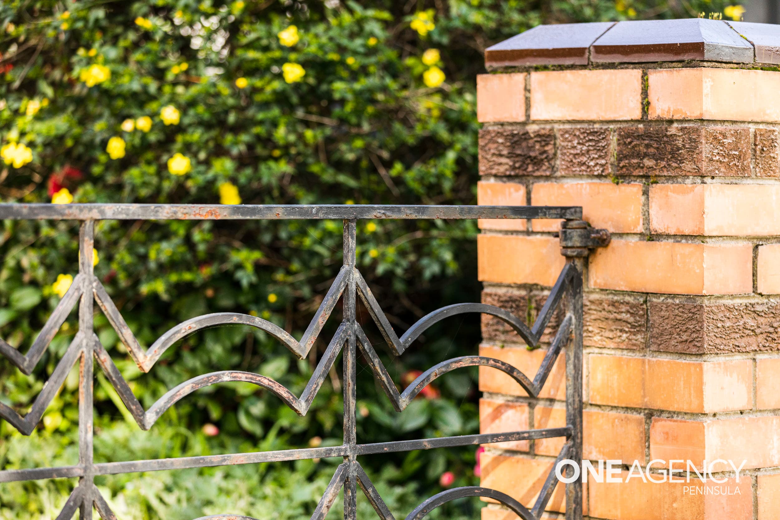 705 Point Nepean Road, McCrae, Mccrae - Thumbnail 8
