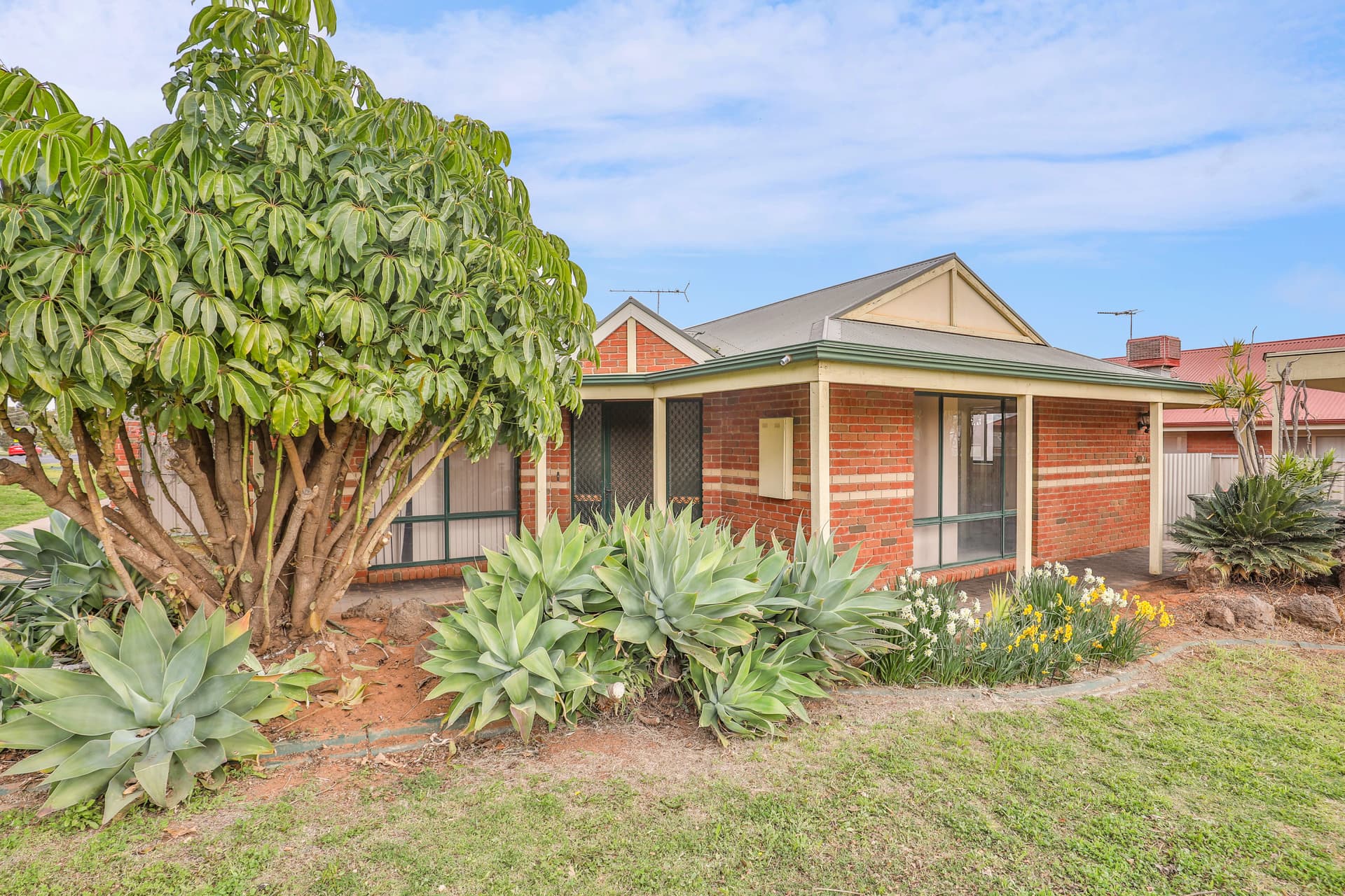 1 Mahogany Drive, Mildura, Mildura - Thumbnail 2