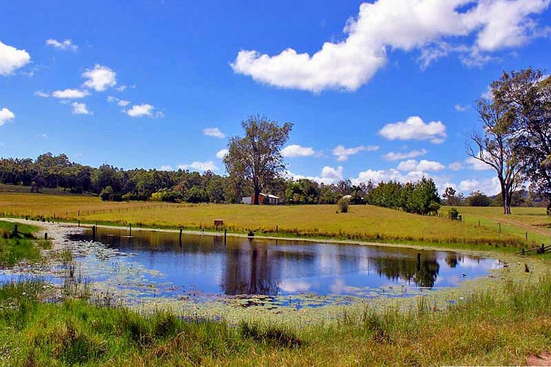 50 Dennis Road, Mungay Creek, Mungay Creek - Thumbnail 4