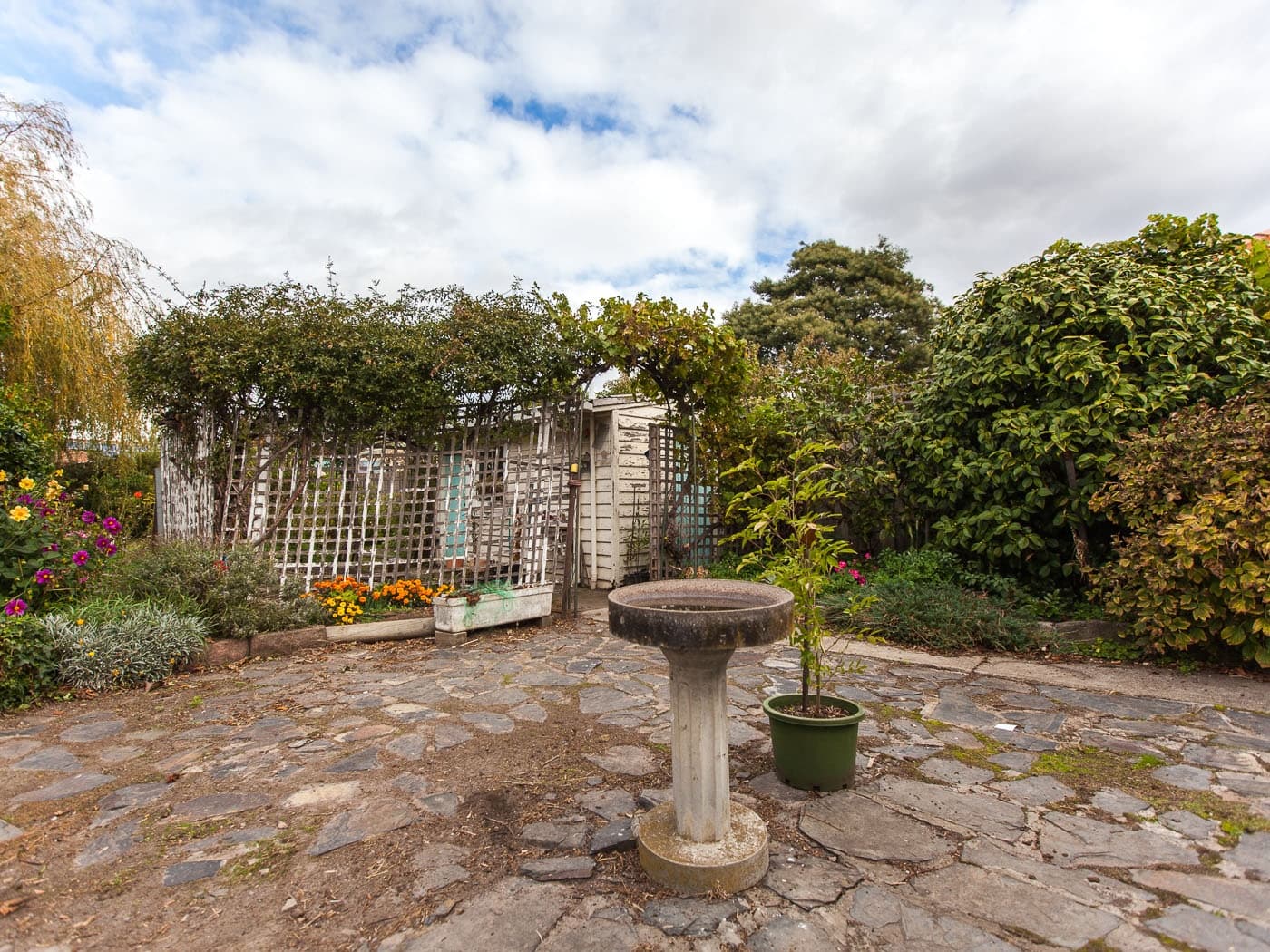 12 Cypress Street, Newstead, Newstead - Thumbnail 4