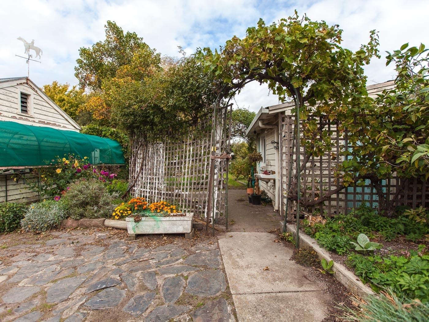 12 Cypress Street, Newstead, Newstead - Thumbnail 5
