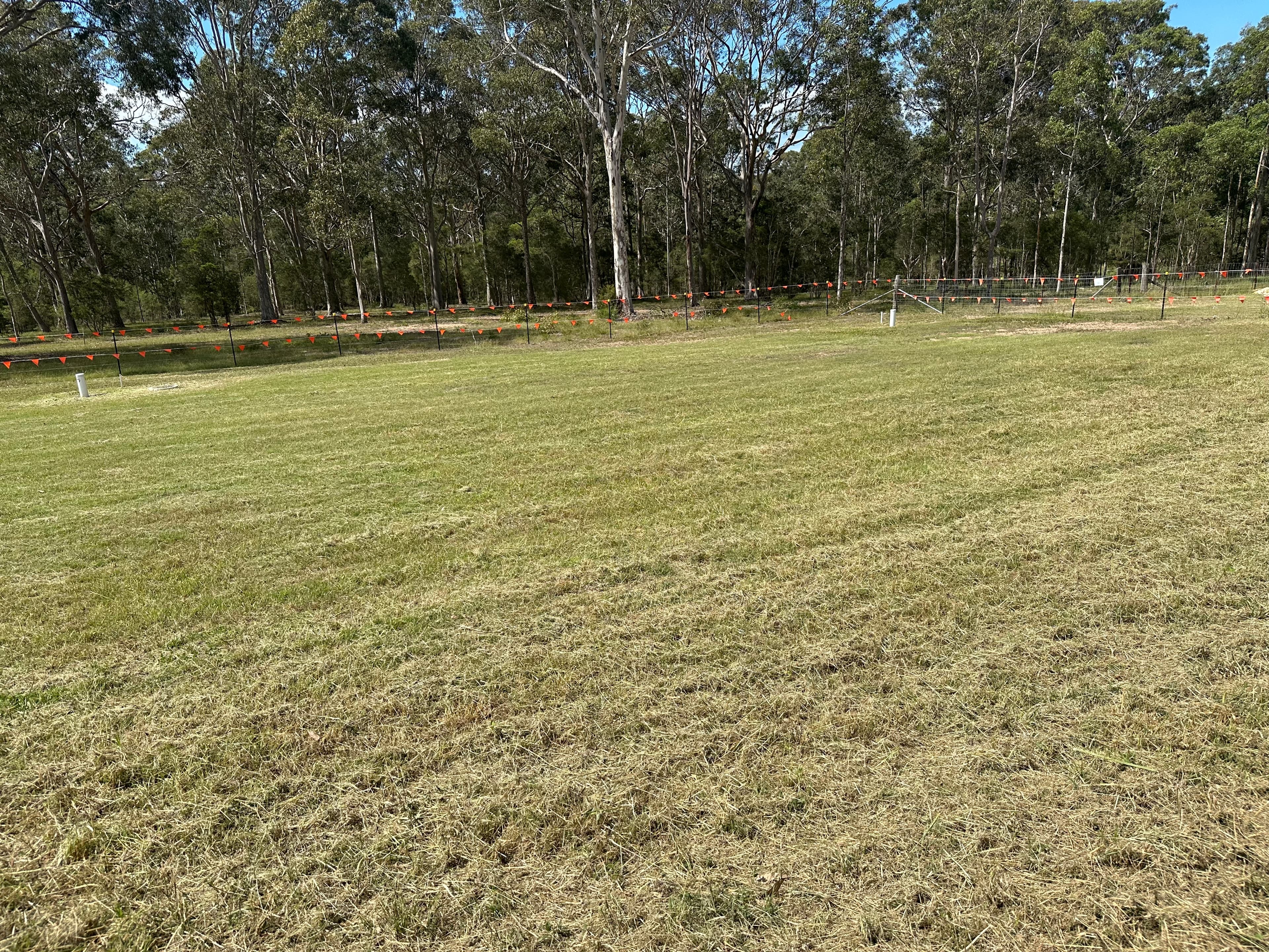 74 (Lot 24) Voyager Street, Wadalba, Wadalba - Thumbnail 3