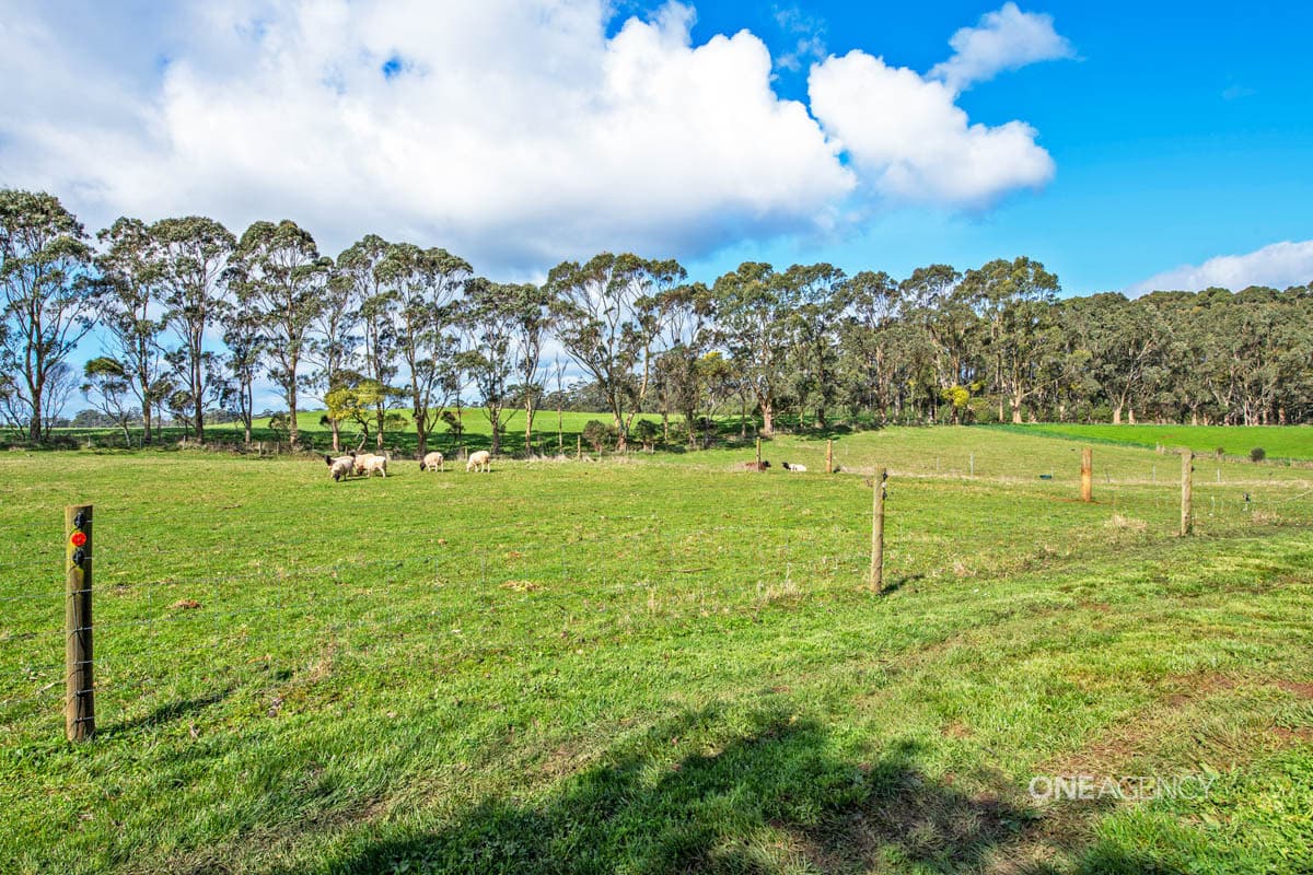24121 Bass Highway, Christmas Hills, Christmas Hills - Thumbnail 4