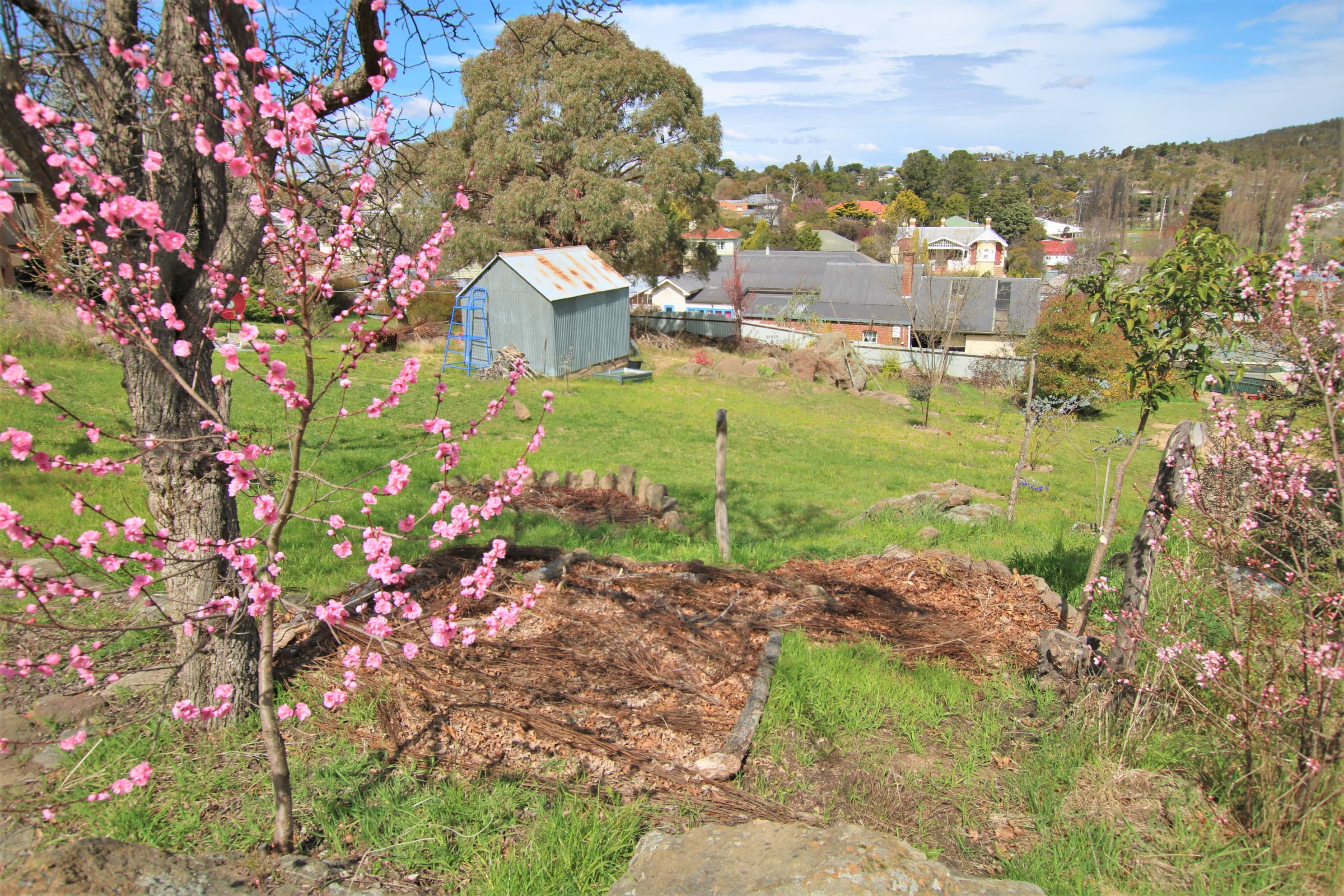 96 Massie Street, Cooma, Cooma - Thumbnail 3