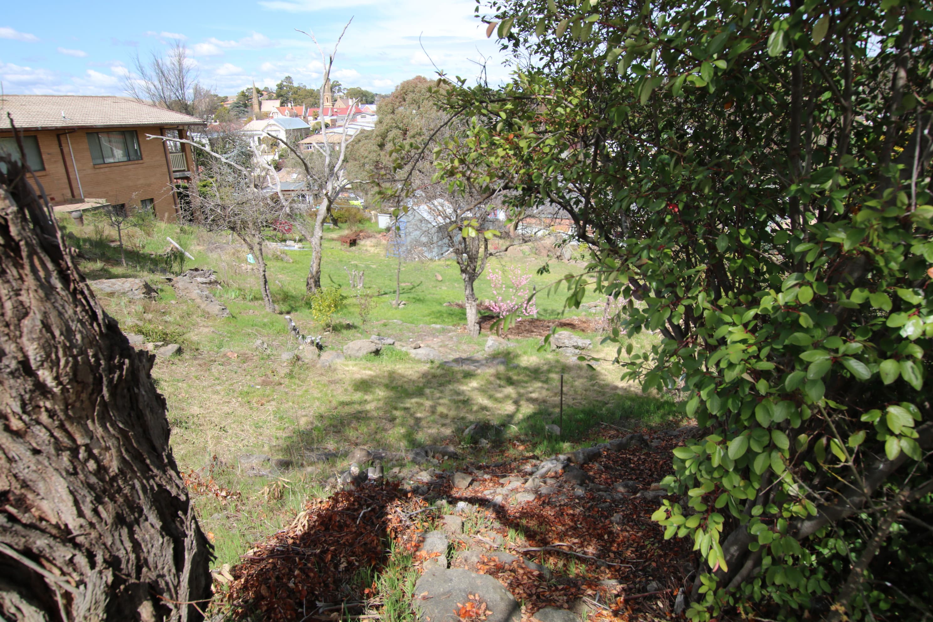 96 Massie Street, Cooma, Cooma - Thumbnail 4