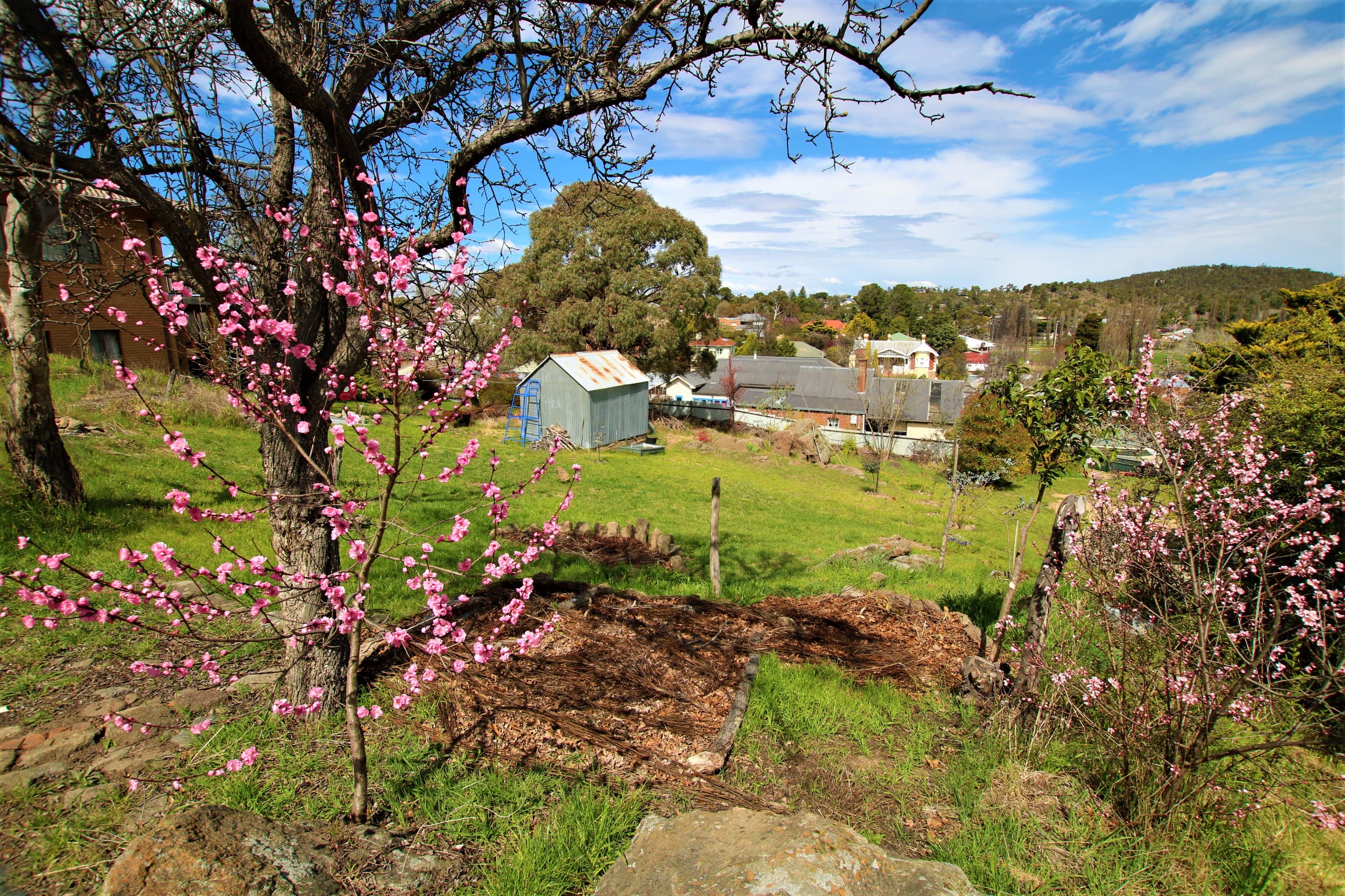 96 Massie Street, Cooma, Cooma - Thumbnail 5