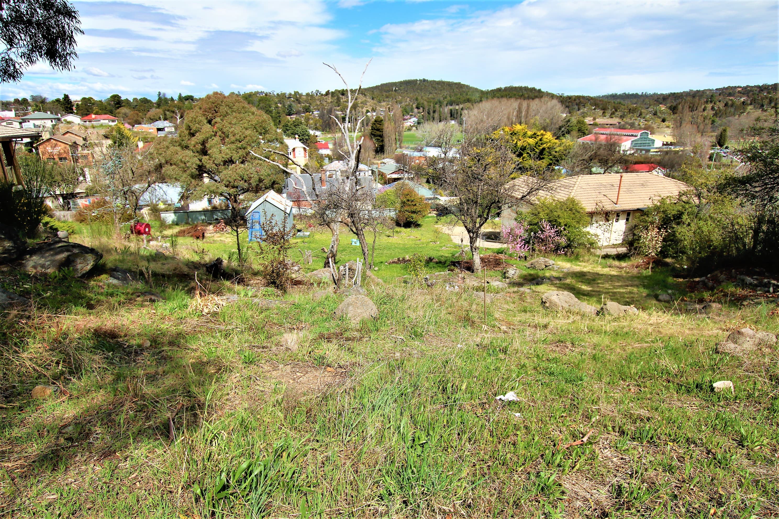 96 Massie Street, Cooma, Cooma - Thumbnail 6