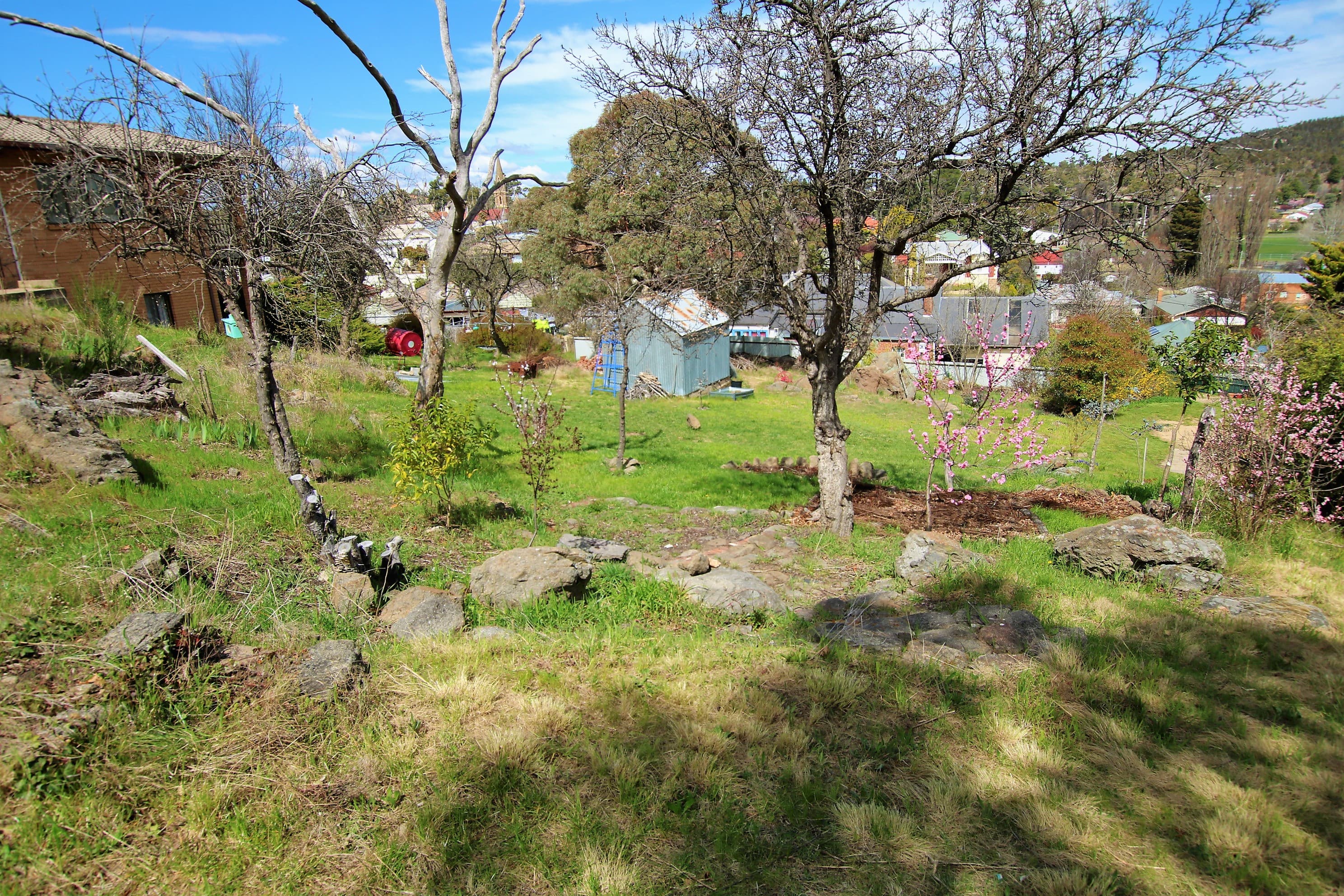 96 Massie Street, Cooma, Cooma - Thumbnail 8