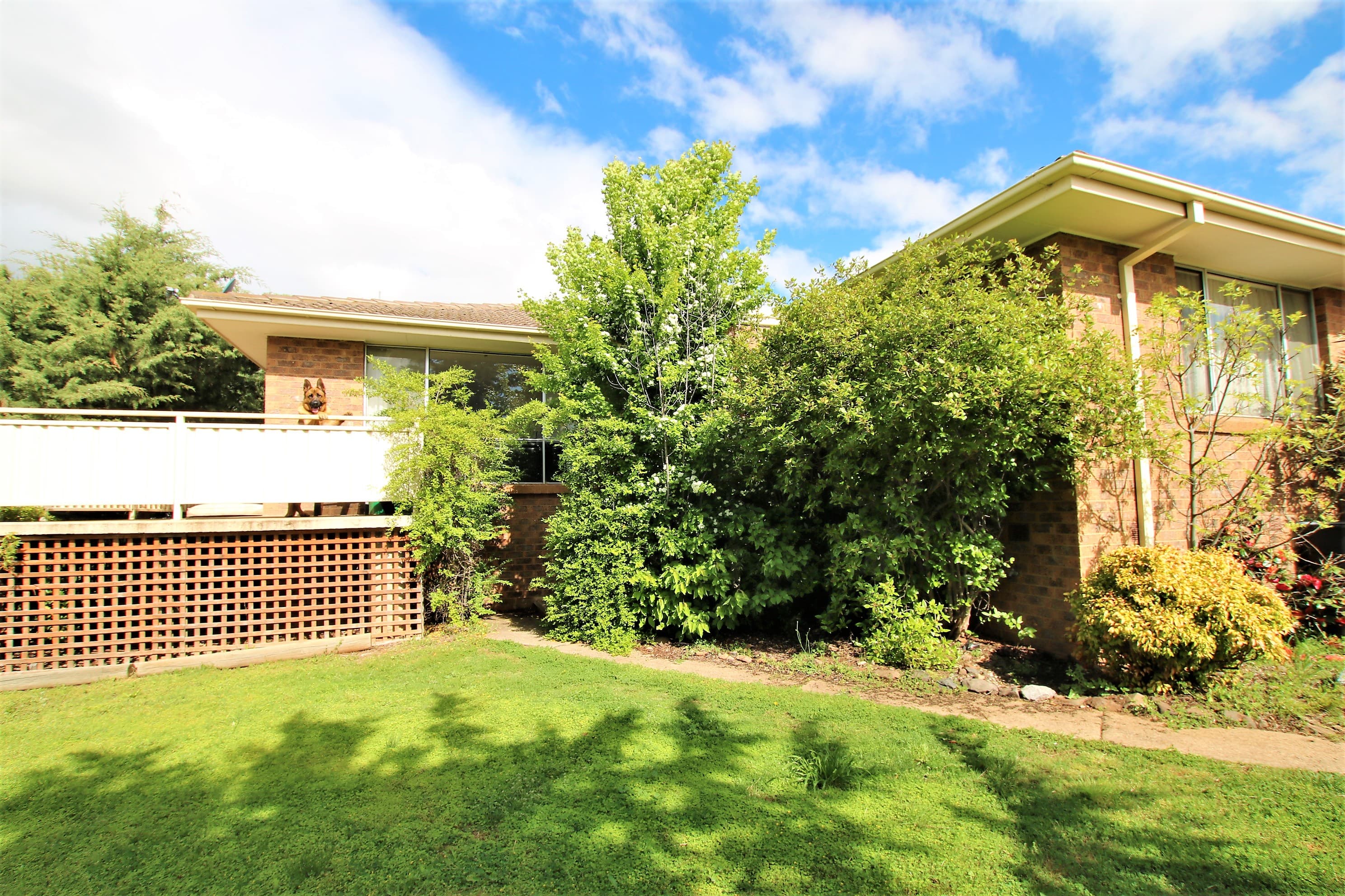 6 Woolalla Street, Cooma, Cooma - Image 1