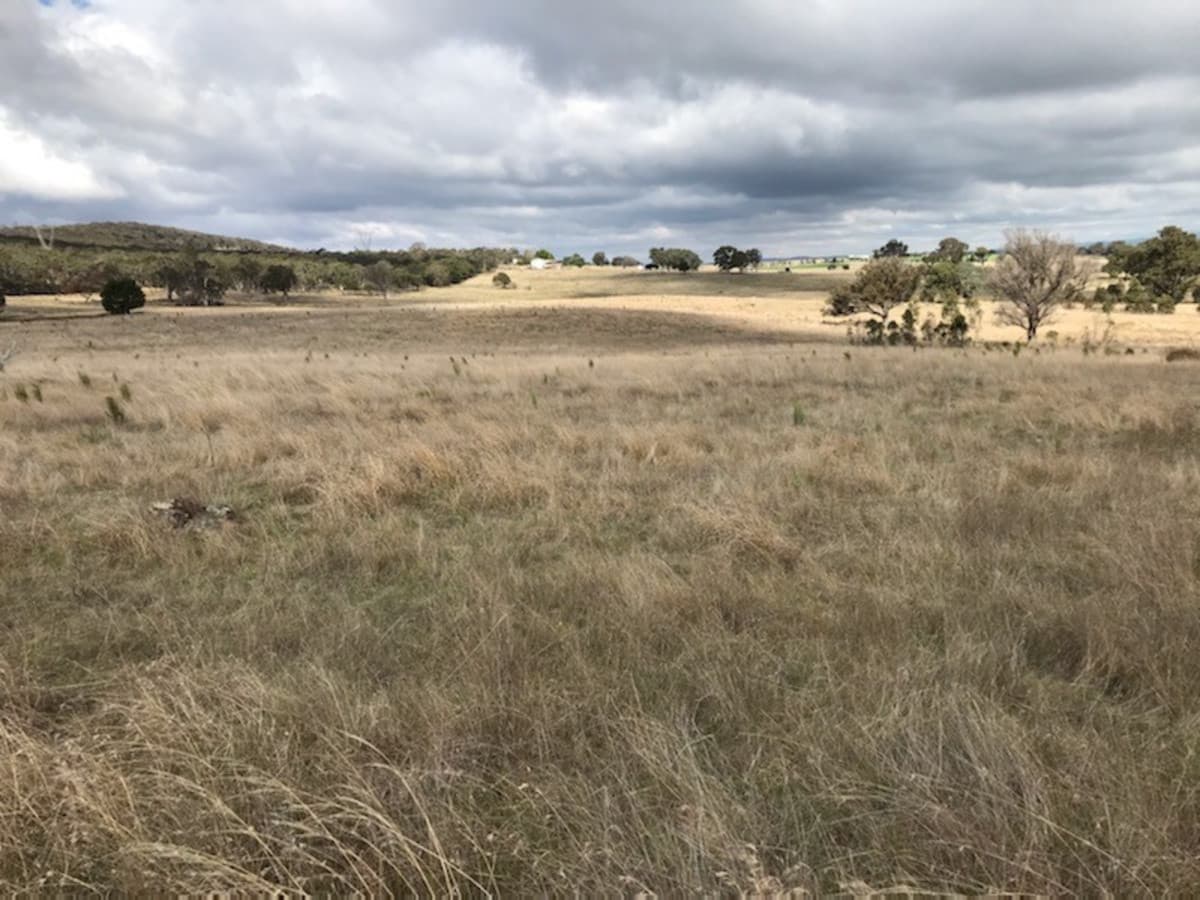 216 Shaws Creek Road, Goulburn, Goulburn - Thumbnail 2