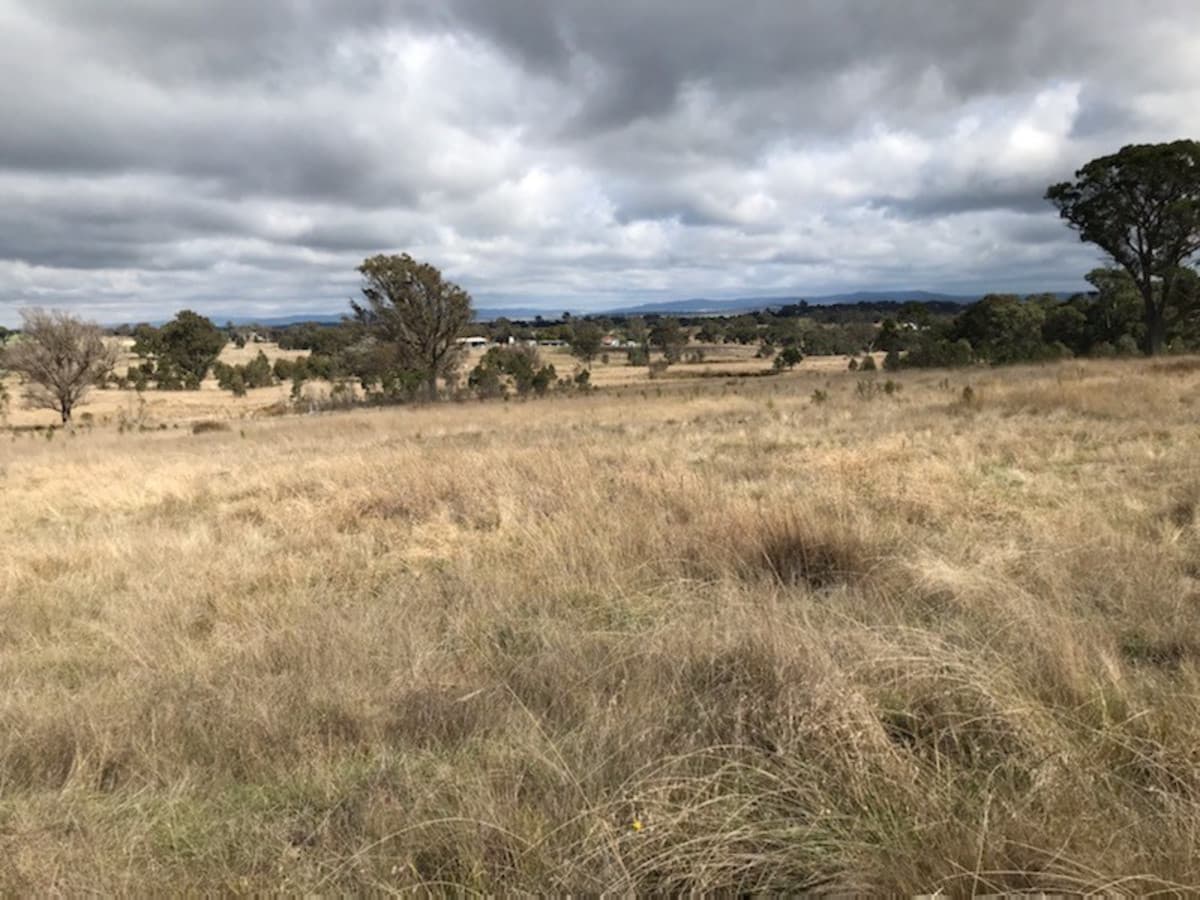 216 Shaws Creek Road, Goulburn, Goulburn - Thumbnail 4