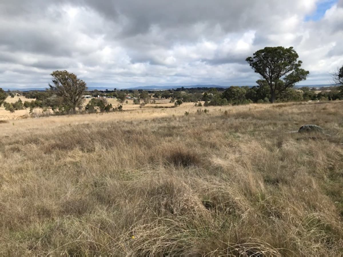 216 Shaws Creek Road, Goulburn, Goulburn - Thumbnail 5
