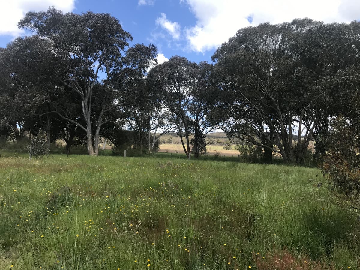 216 Shaws Creek Road, Goulburn, Goulburn - Thumbnail 8