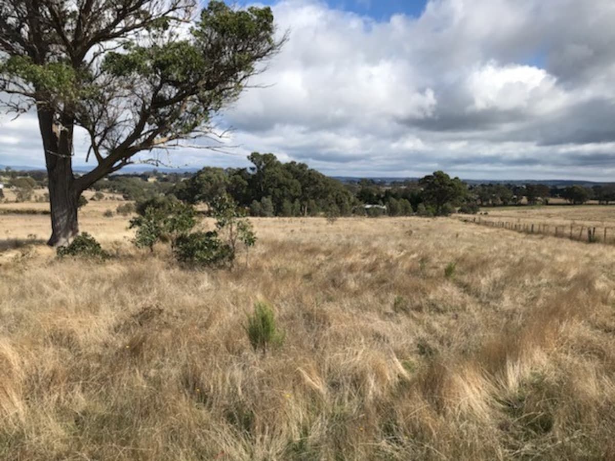 216 Shaws Creek Road, Goulburn, Goulburn - Image 1