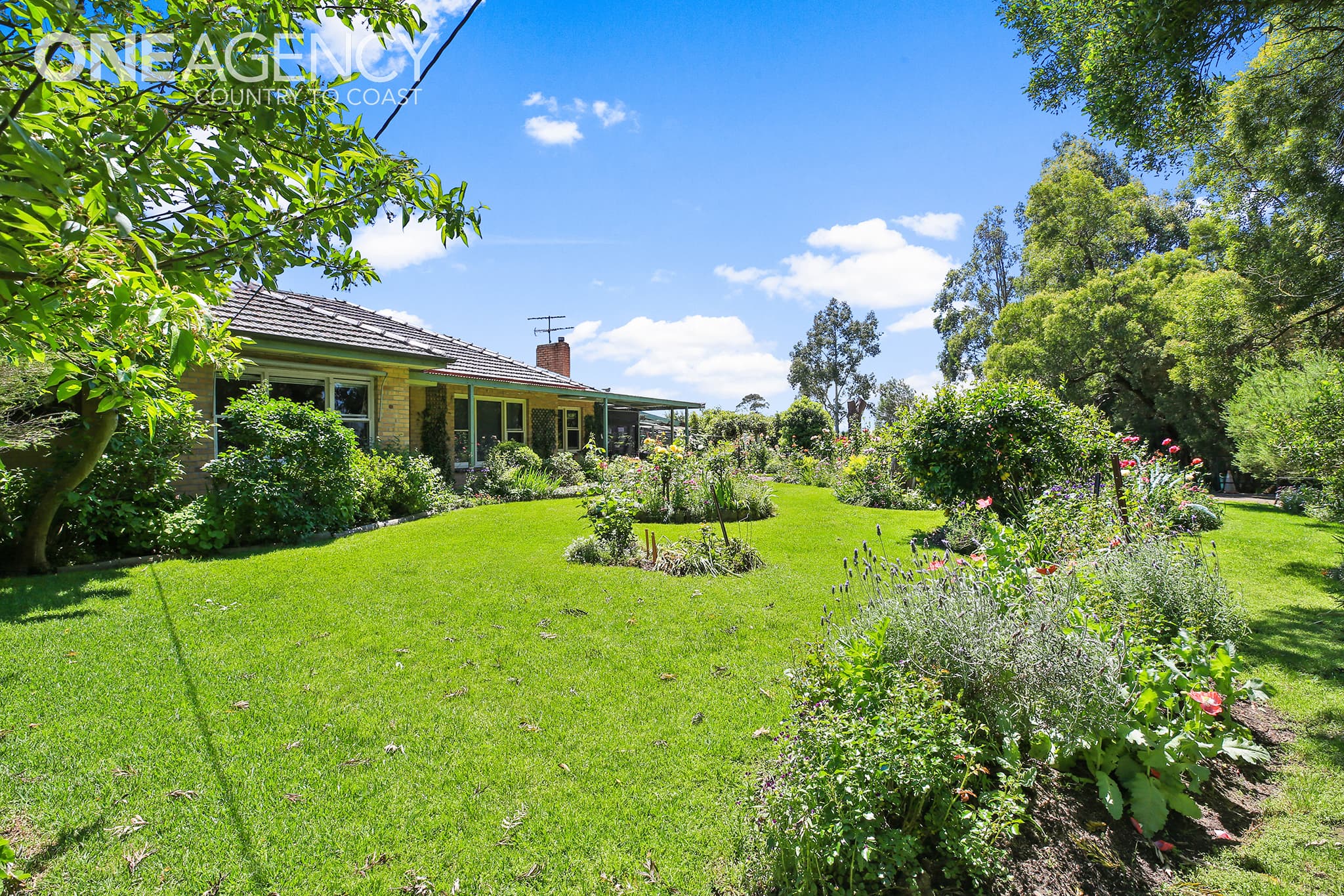 19 Eight Mile Road, Trafalgar, Trafalgar - Thumbnail 2