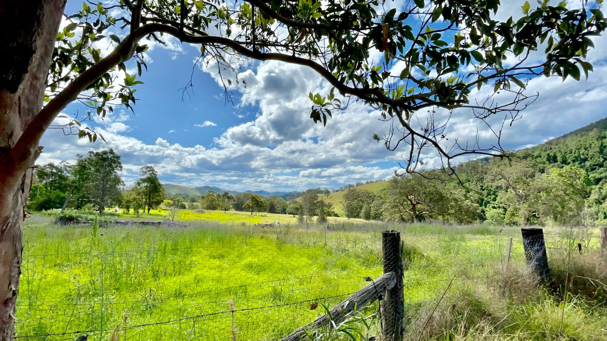 2765 The Bucketts Way, Belbora, Belbora - Thumbnail 3