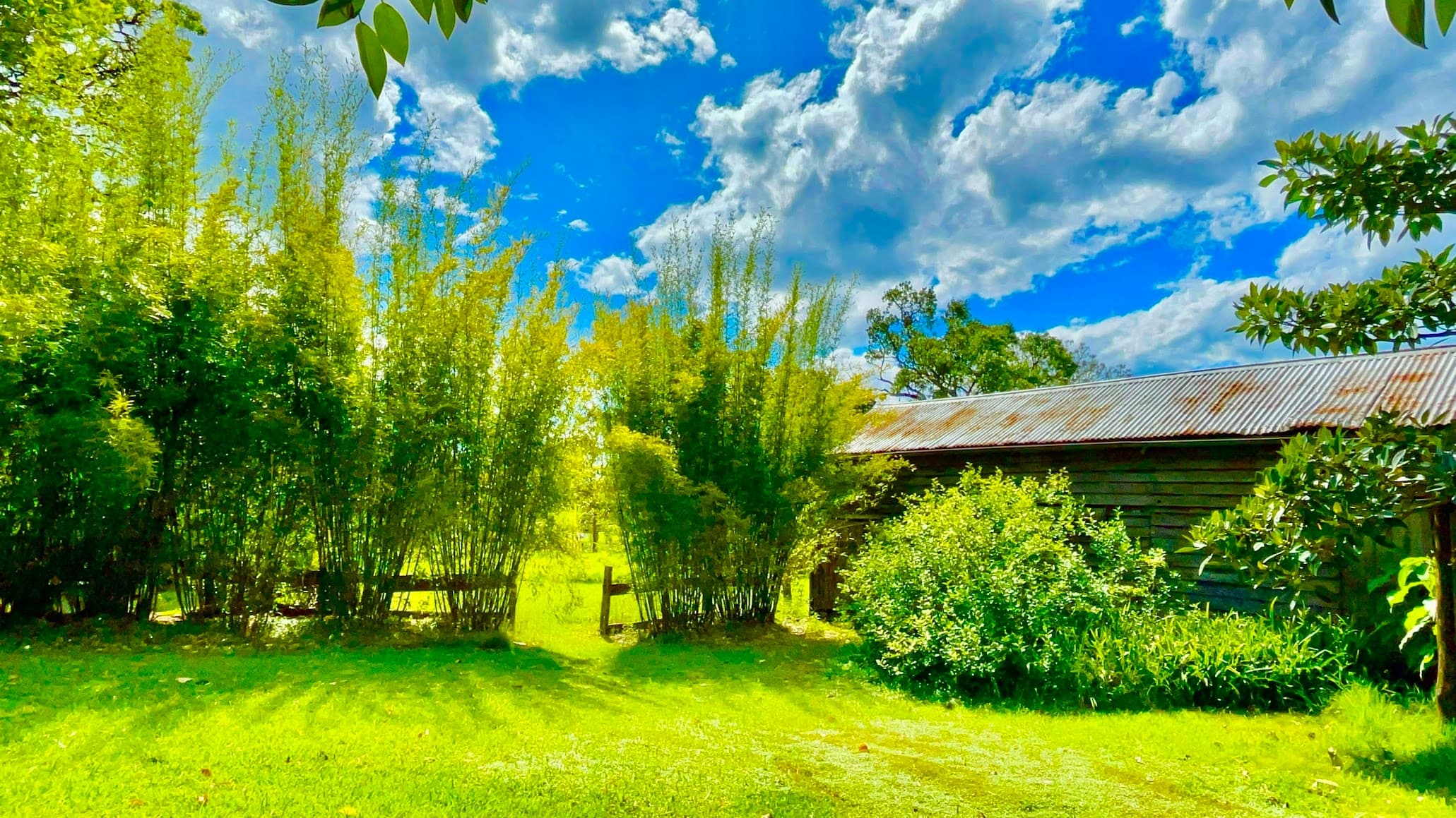 2765 The Bucketts Way, Belbora, Belbora - Thumbnail 6
