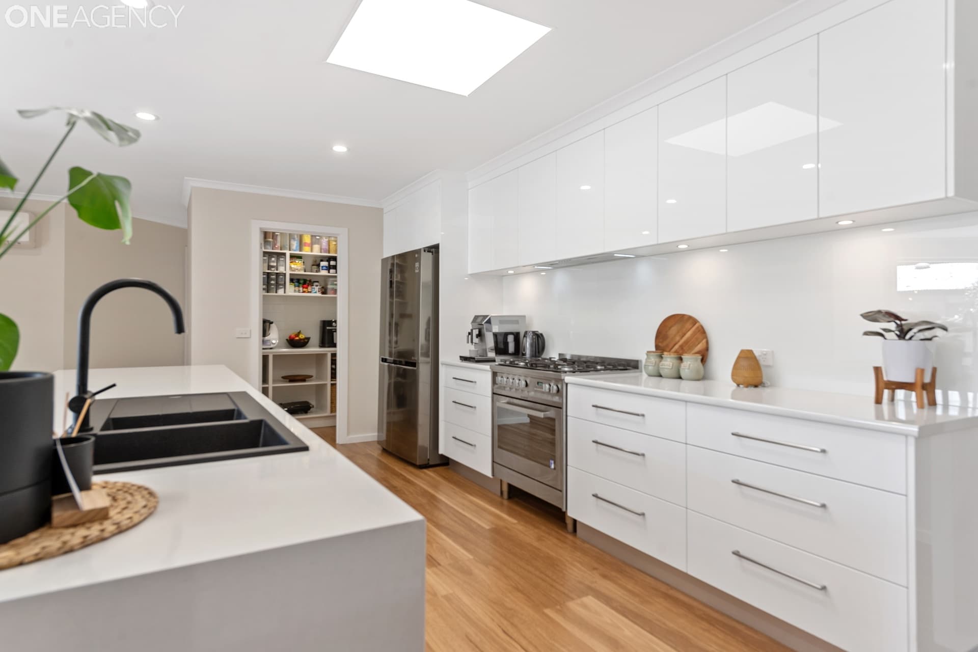6 Alexander Street, Shearwater, Shearwater - Thumbnail 6