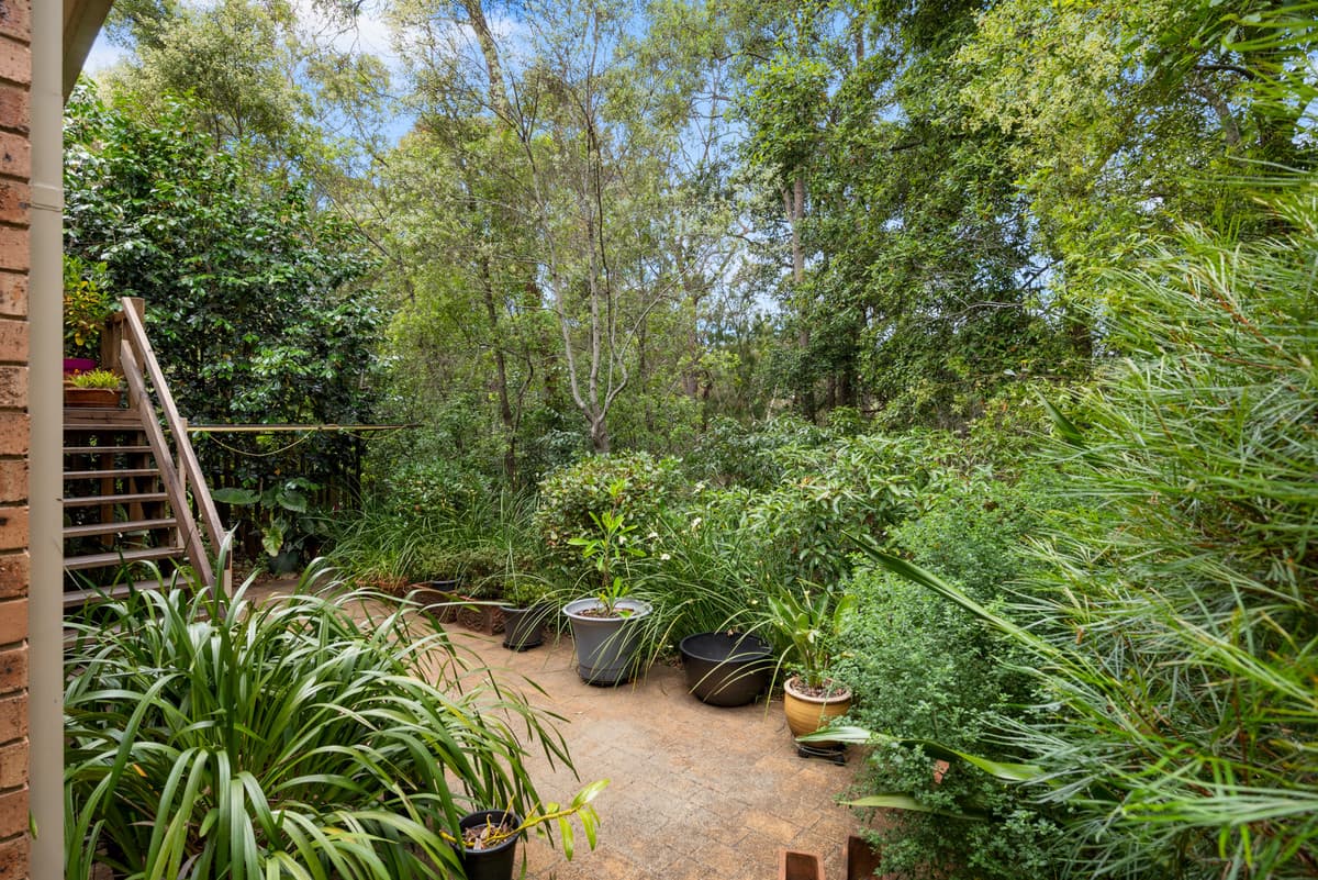 3/6-12 Stypandra Place, Springwood, Springwood - Thumbnail 3