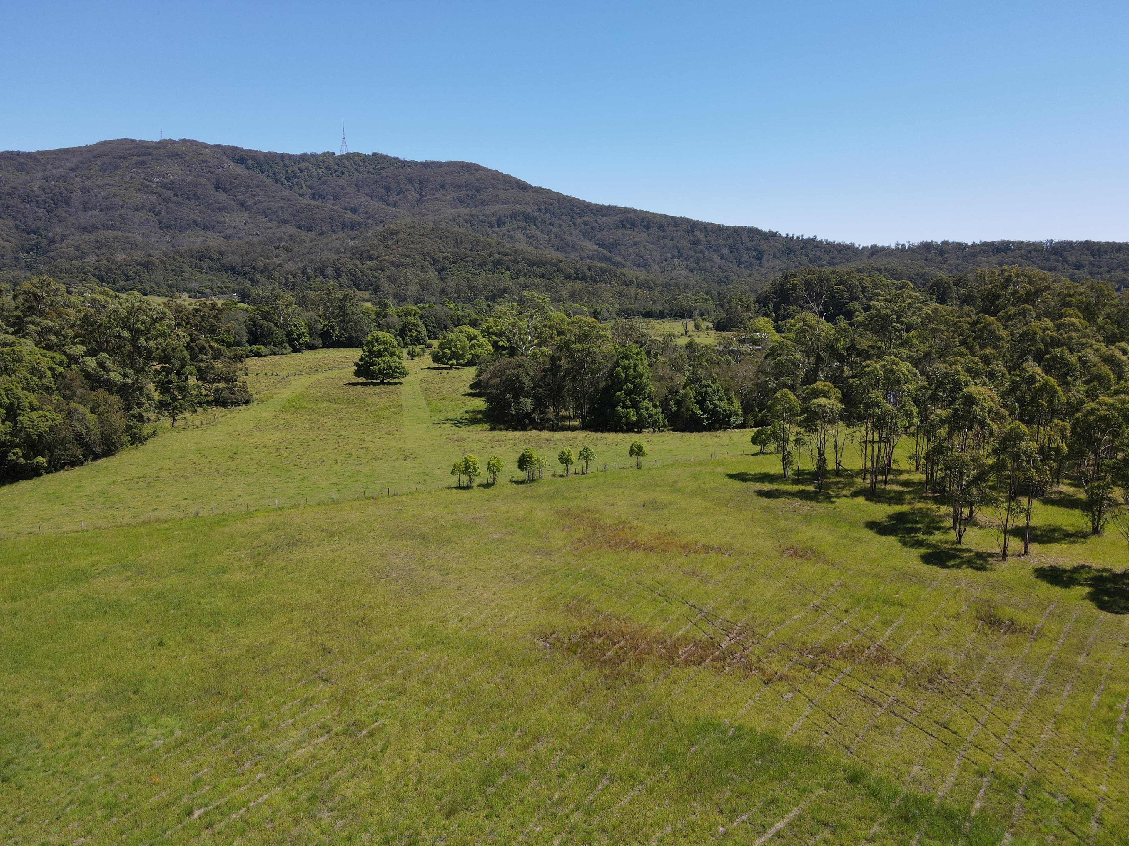 17 Bulleys Road, Johns River, Johns River - Thumbnail 5